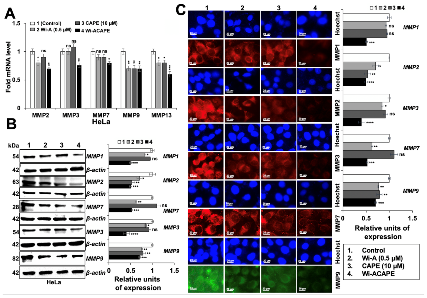Cancers 14 00787 g005 Cancers 14 00787 g005