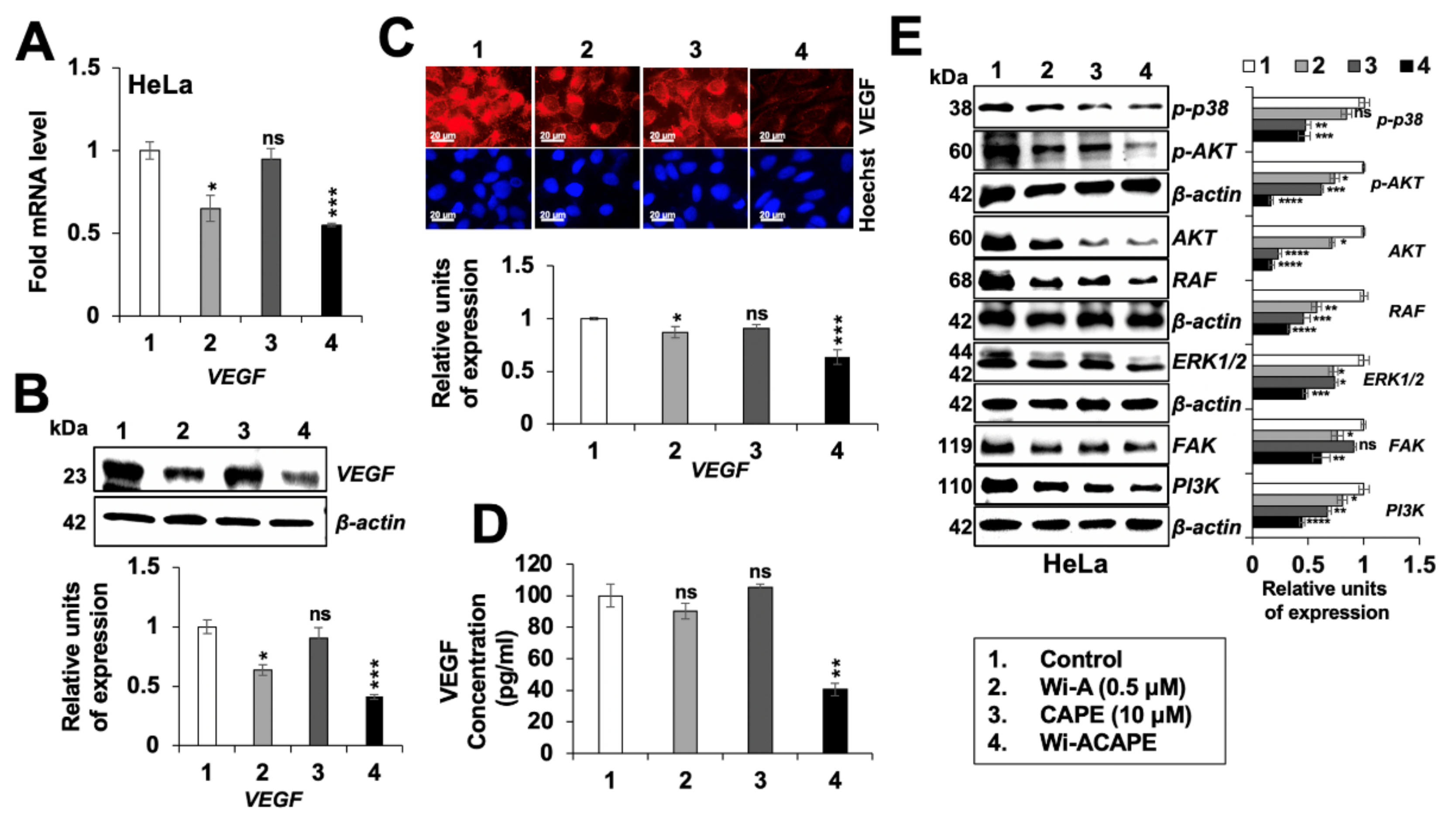 Cancers 14 00787 g006 Cancers 14 00787 g006