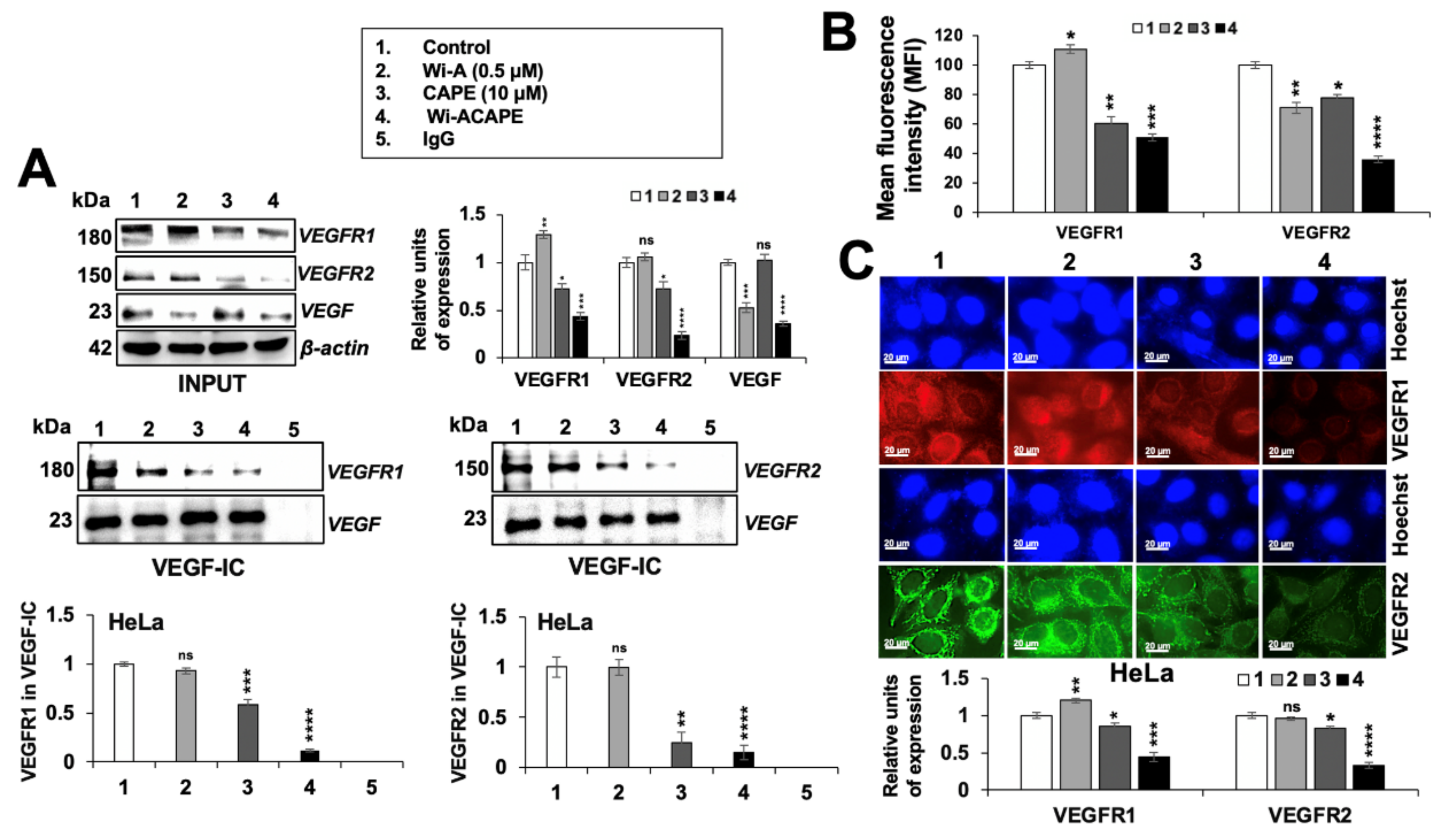 Cancers 14 00787 g007 Cancers 14 00787 g007