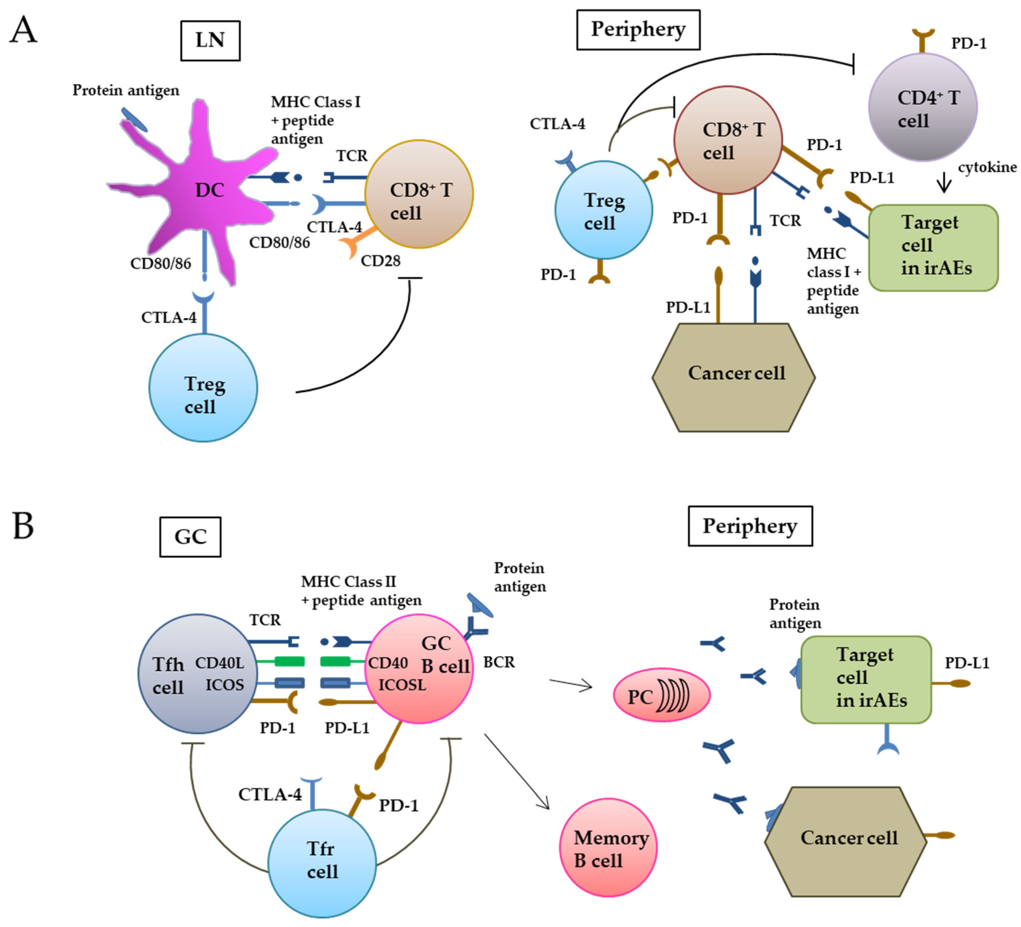 Cancers 14 00792 g001