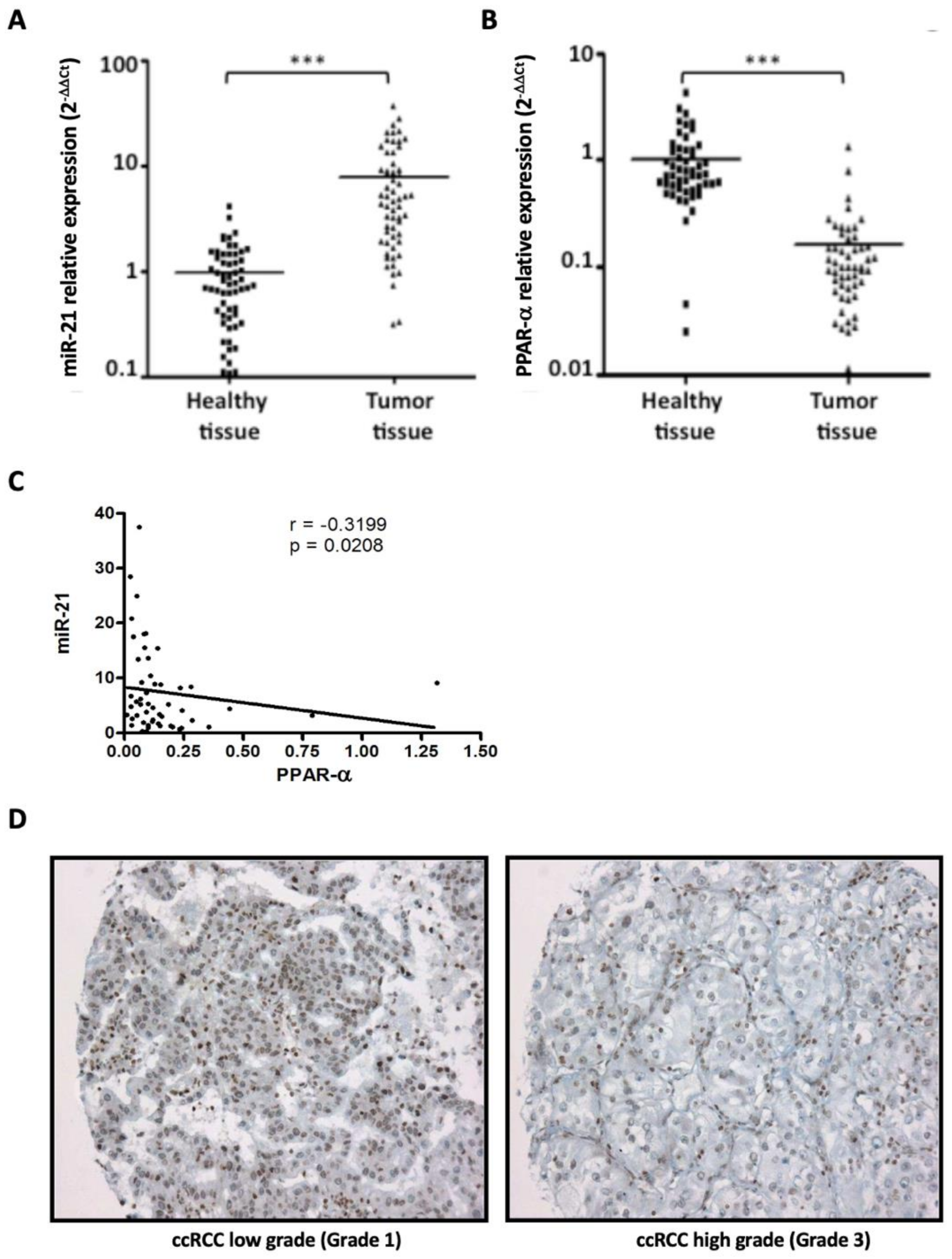 Cancers 14 00795 g001 550