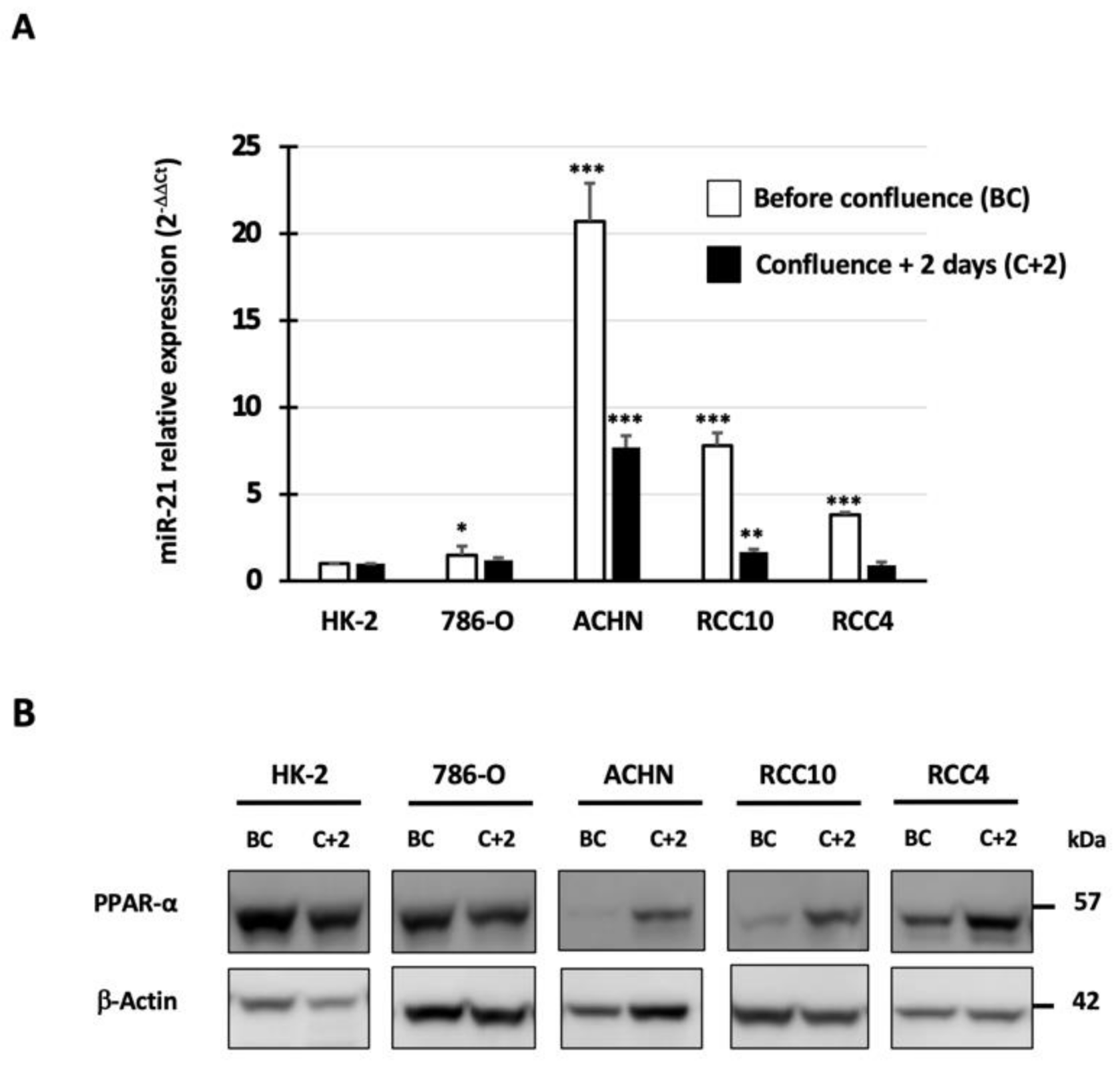Cancers 14 00795 g002 550