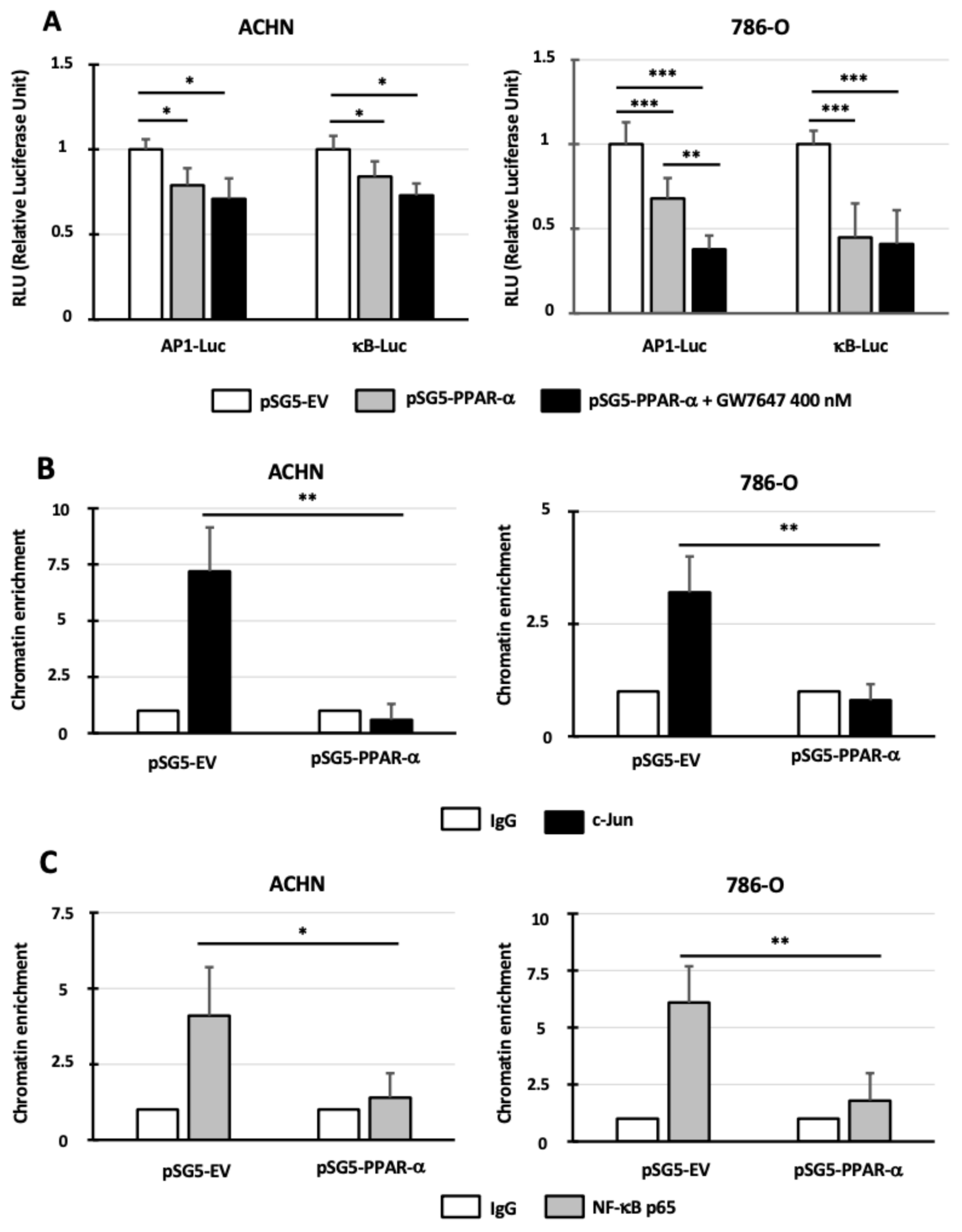 Cancers 14 00795 g004 550