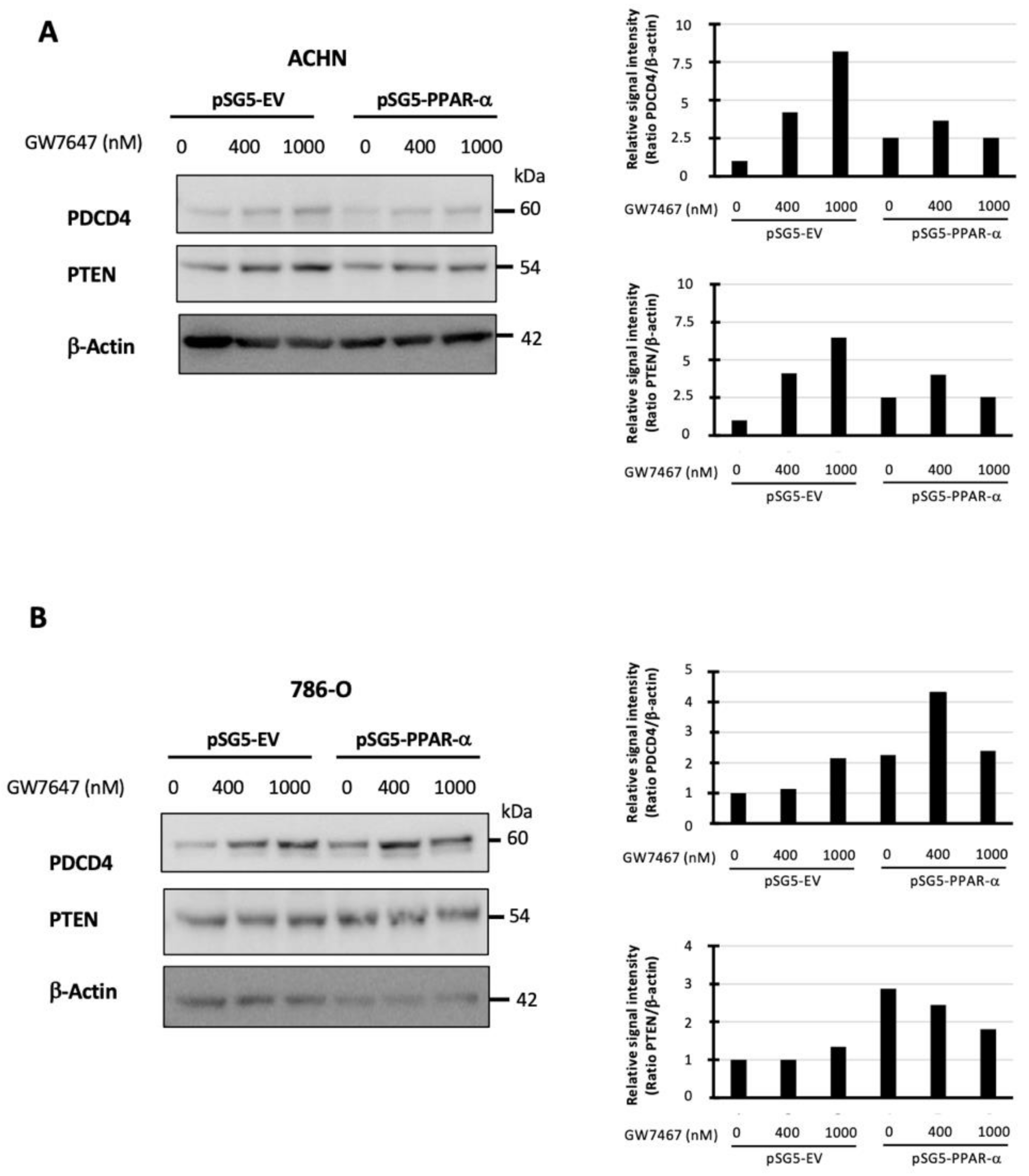 Cancers 14 00795 g005 550