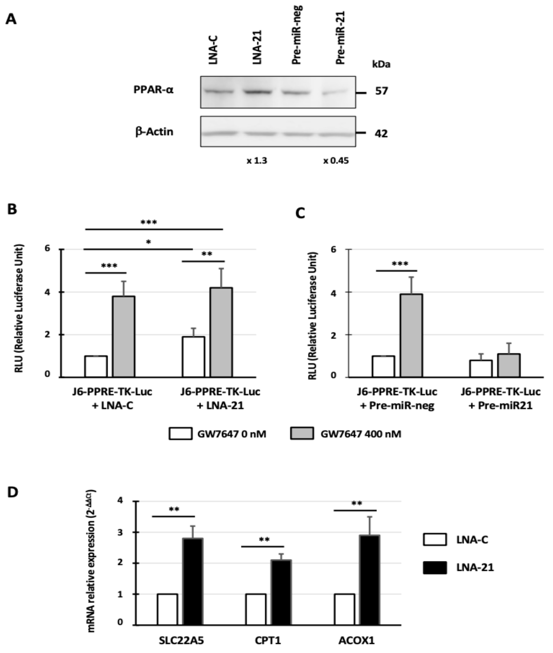Cancers 14 00795 g006 550