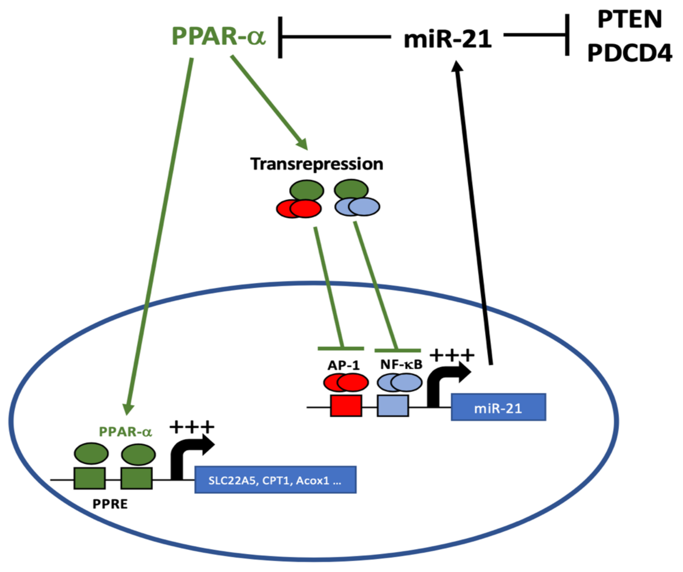 Cancers 14 00795 g007 550