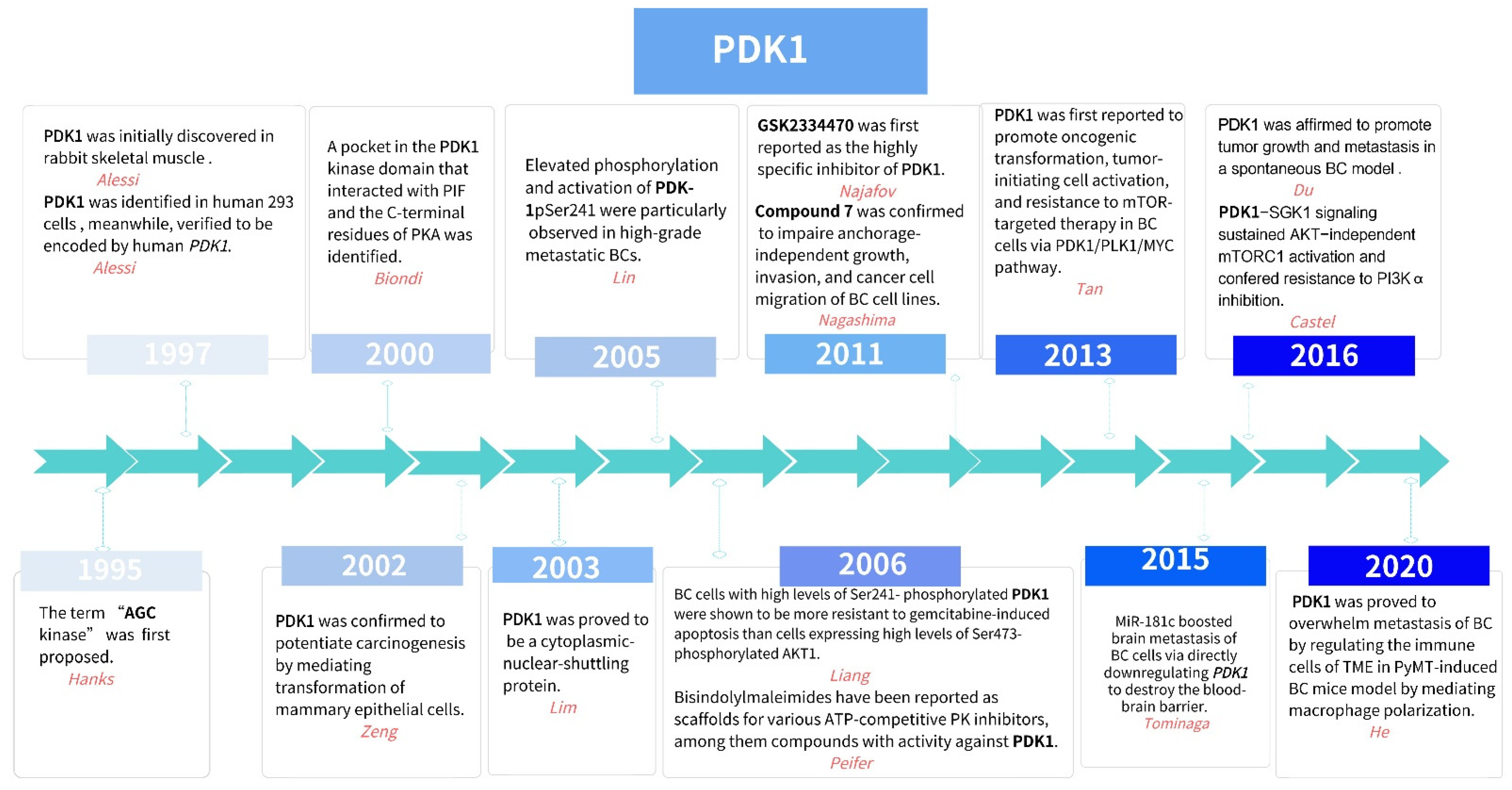 Cancers 14 00811 g001 550