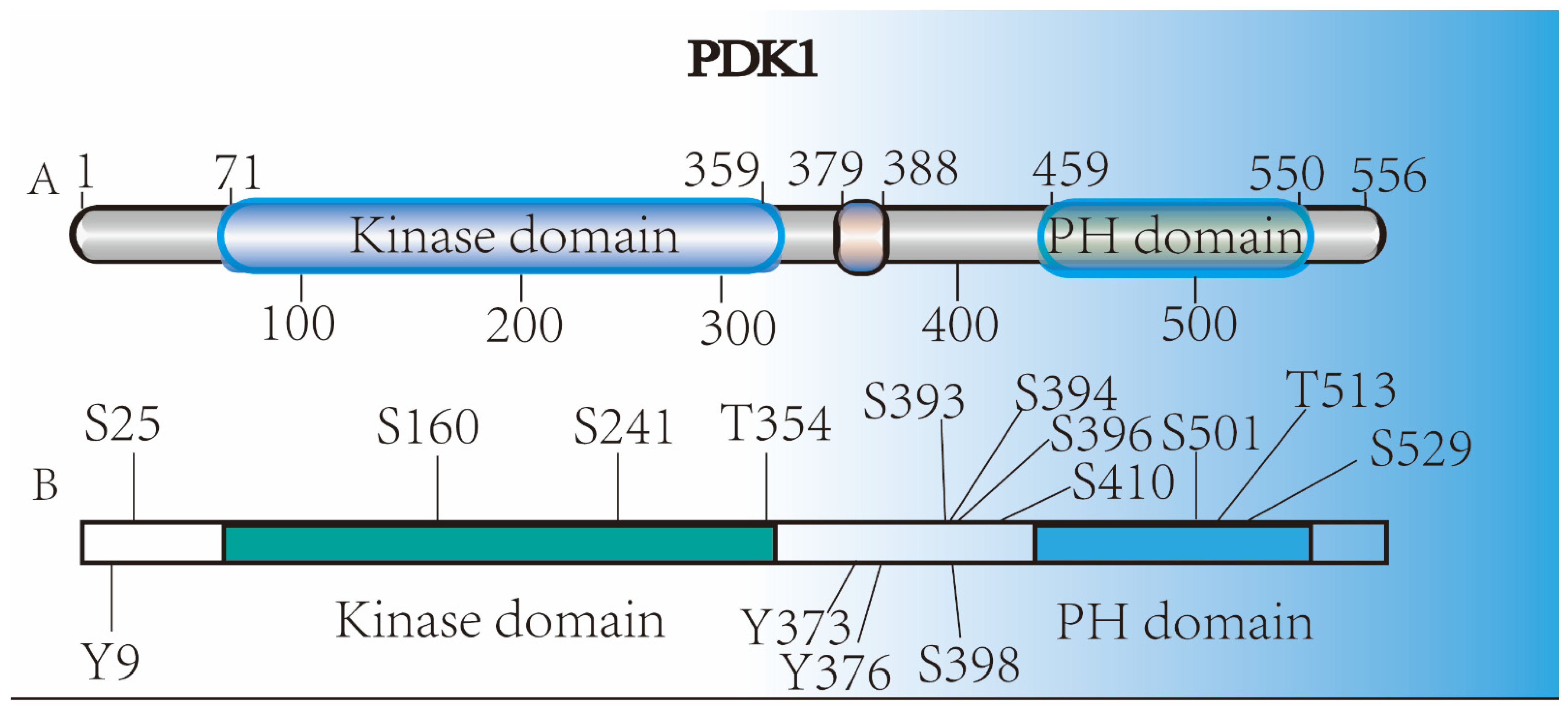 Cancers 14 00811 g002 550
