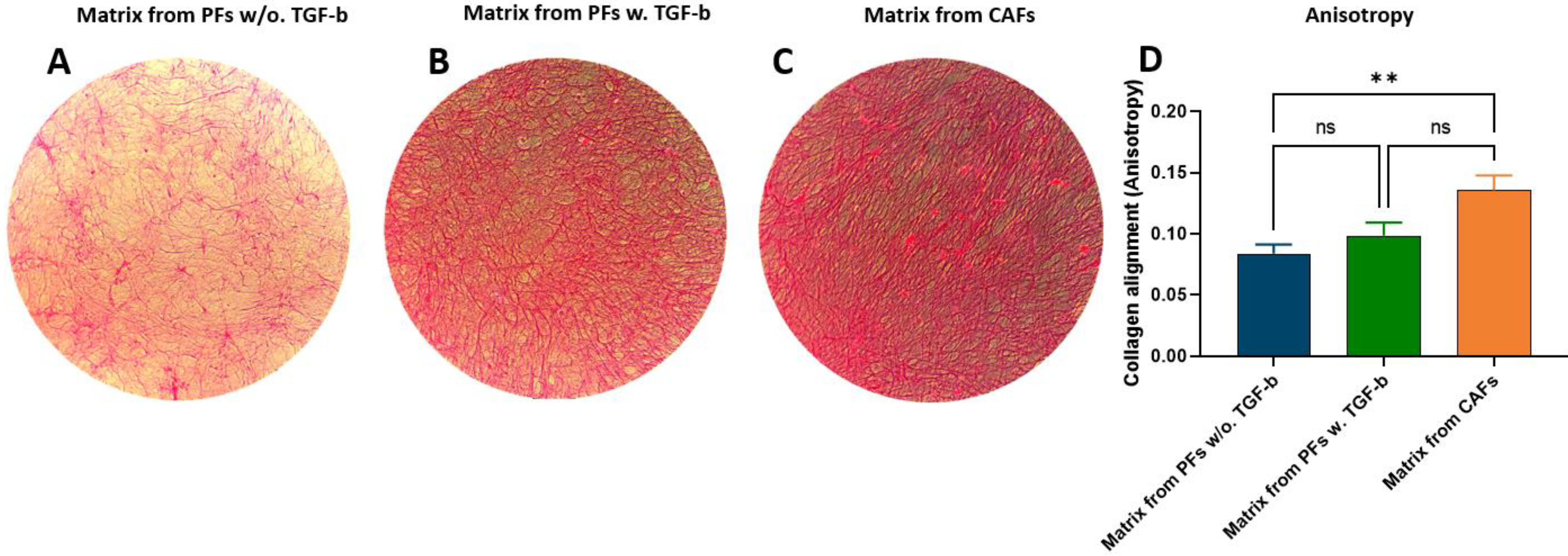 Cancers 14 00819 g004