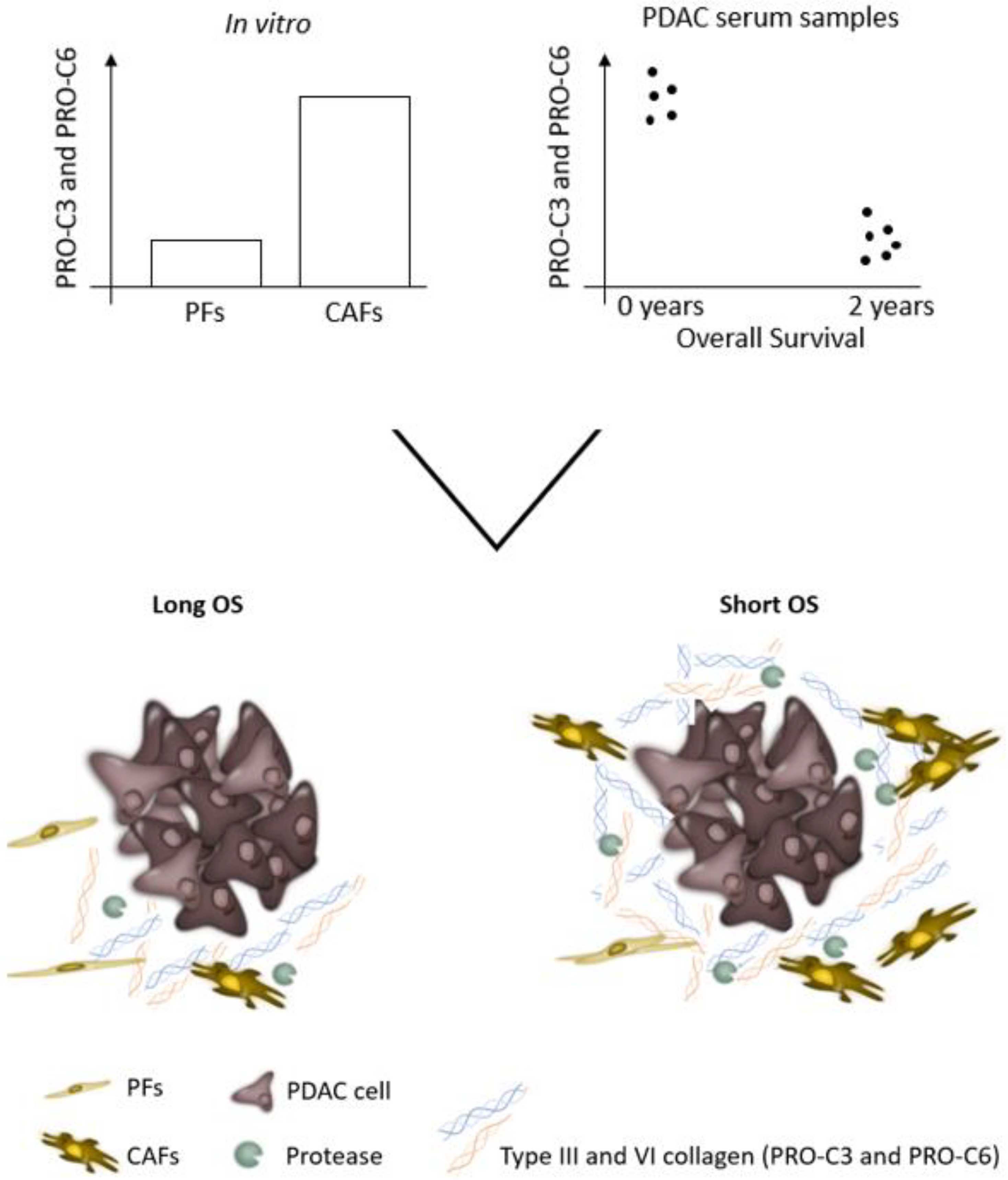 Cancers 14 00819 g007