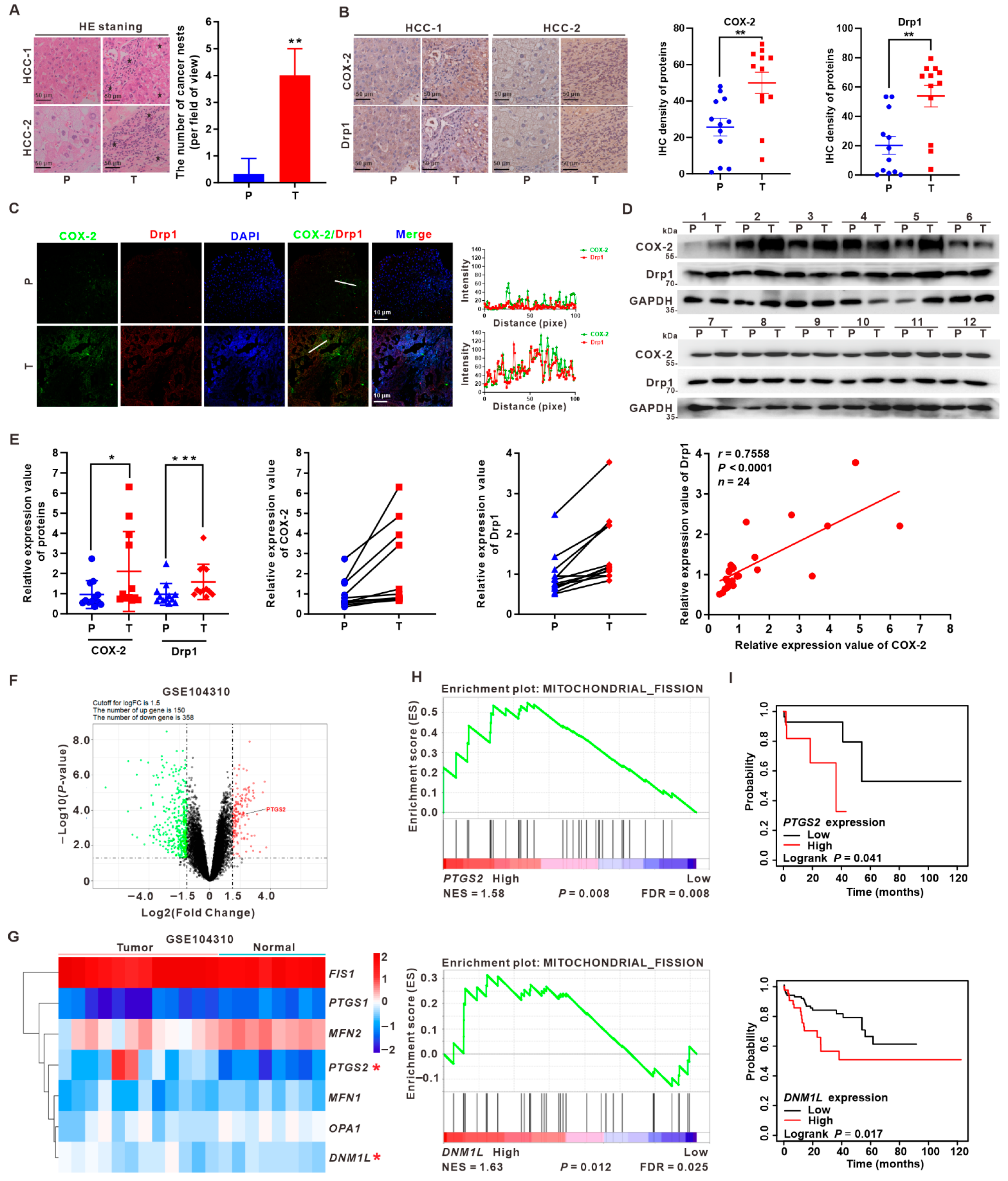 Cancers 14 00821 g001