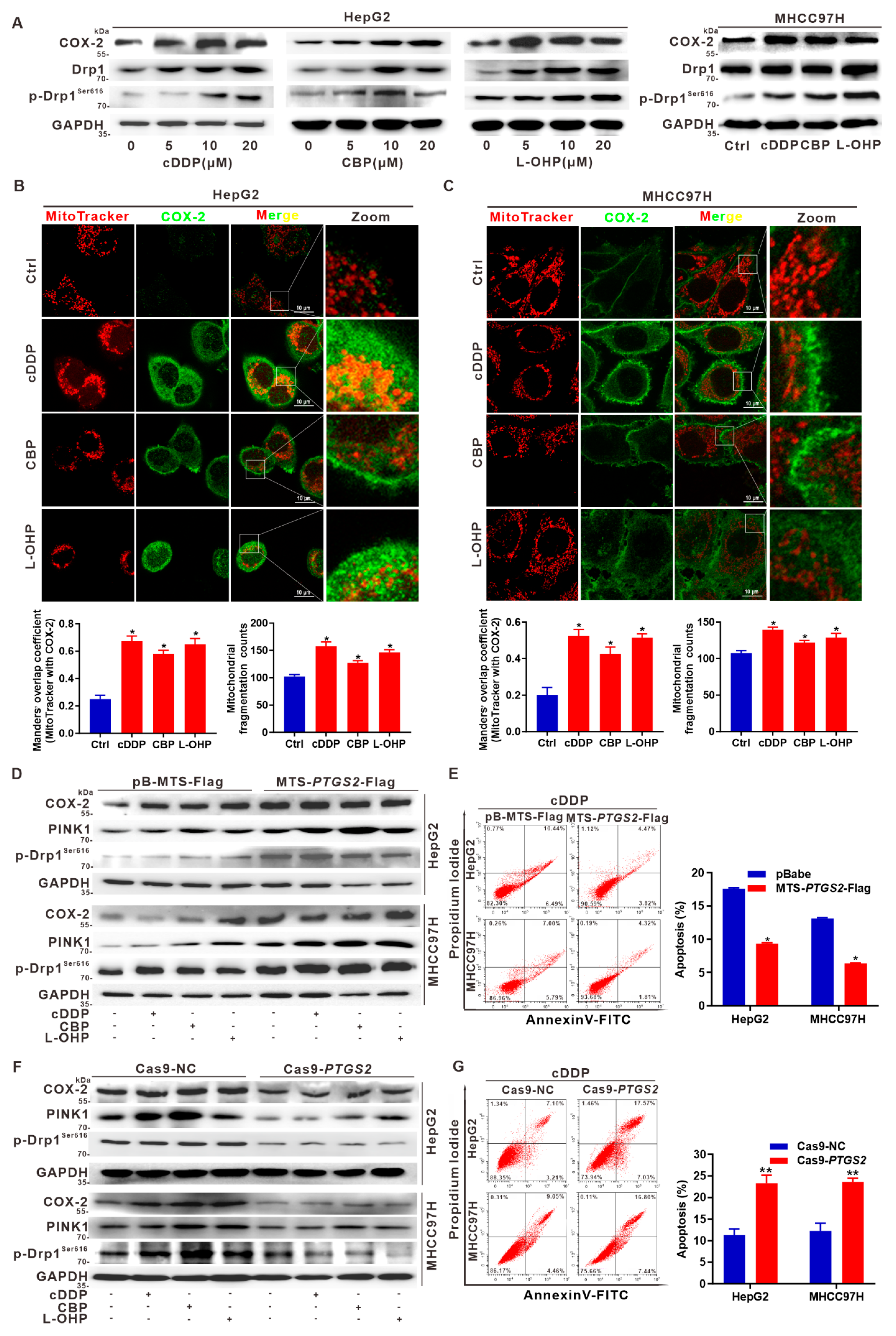 Cancers 14 00821 g006