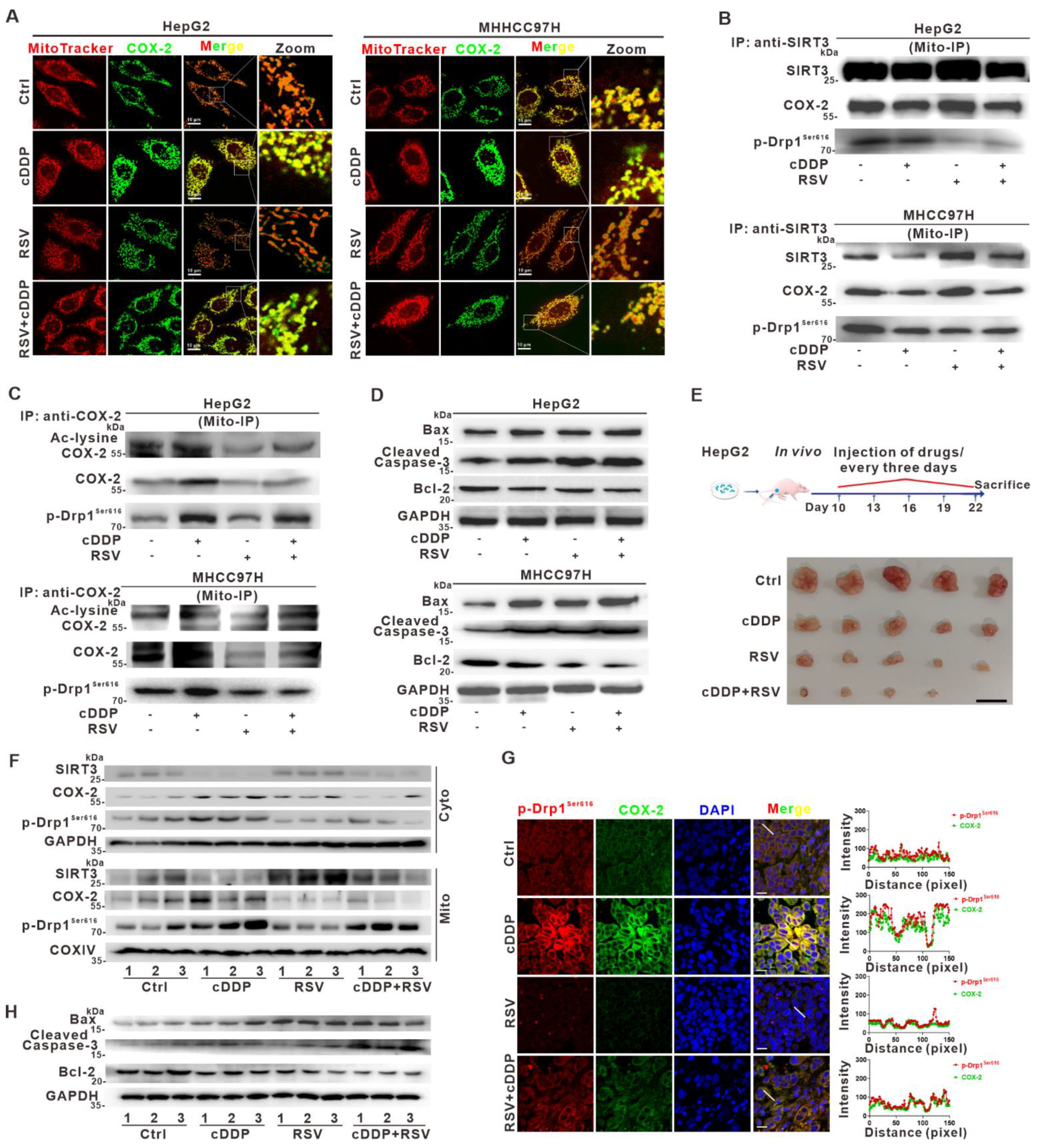 Cancers 14 00821 g008