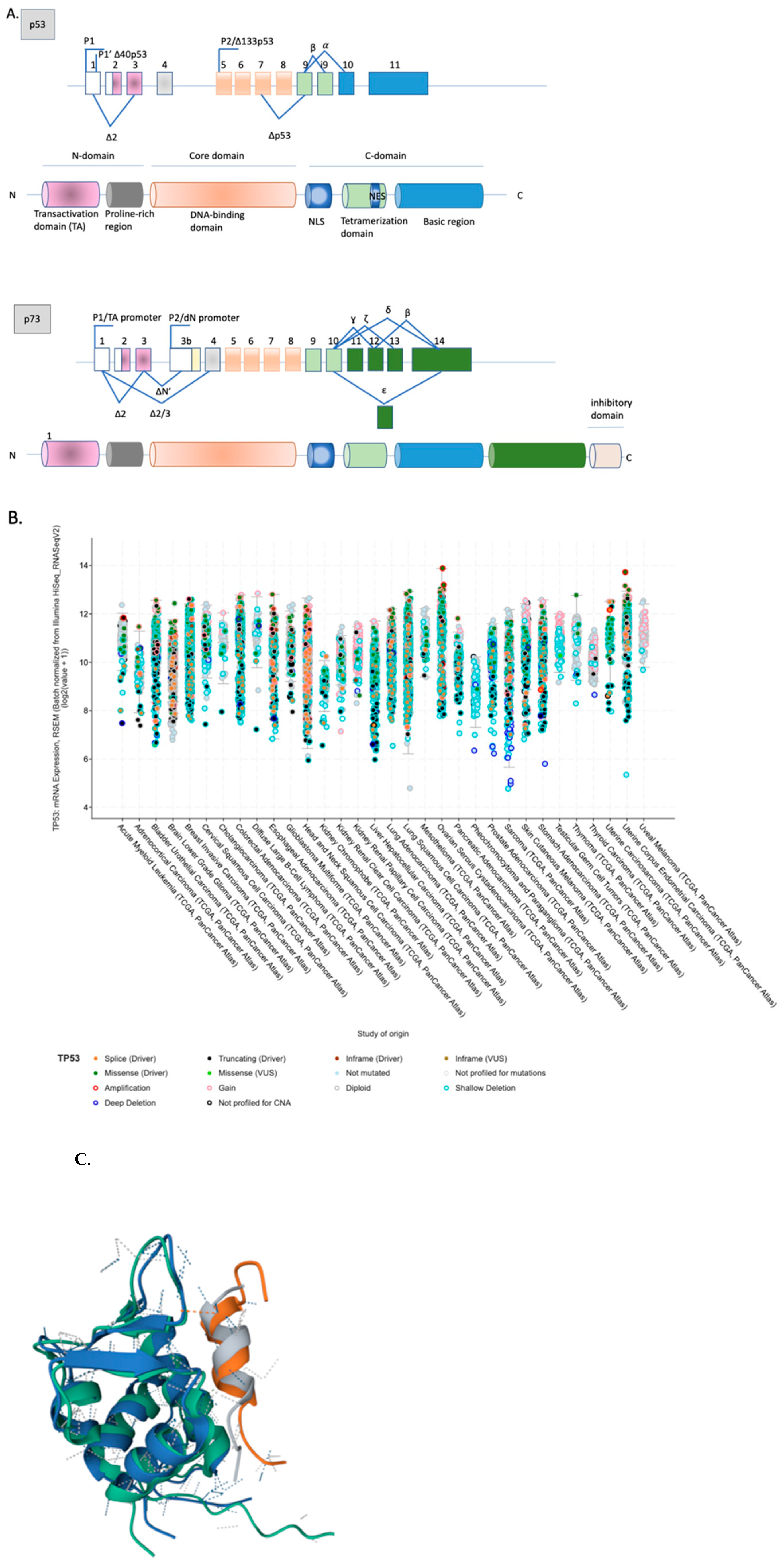 Cancers 14 00823 g001 550