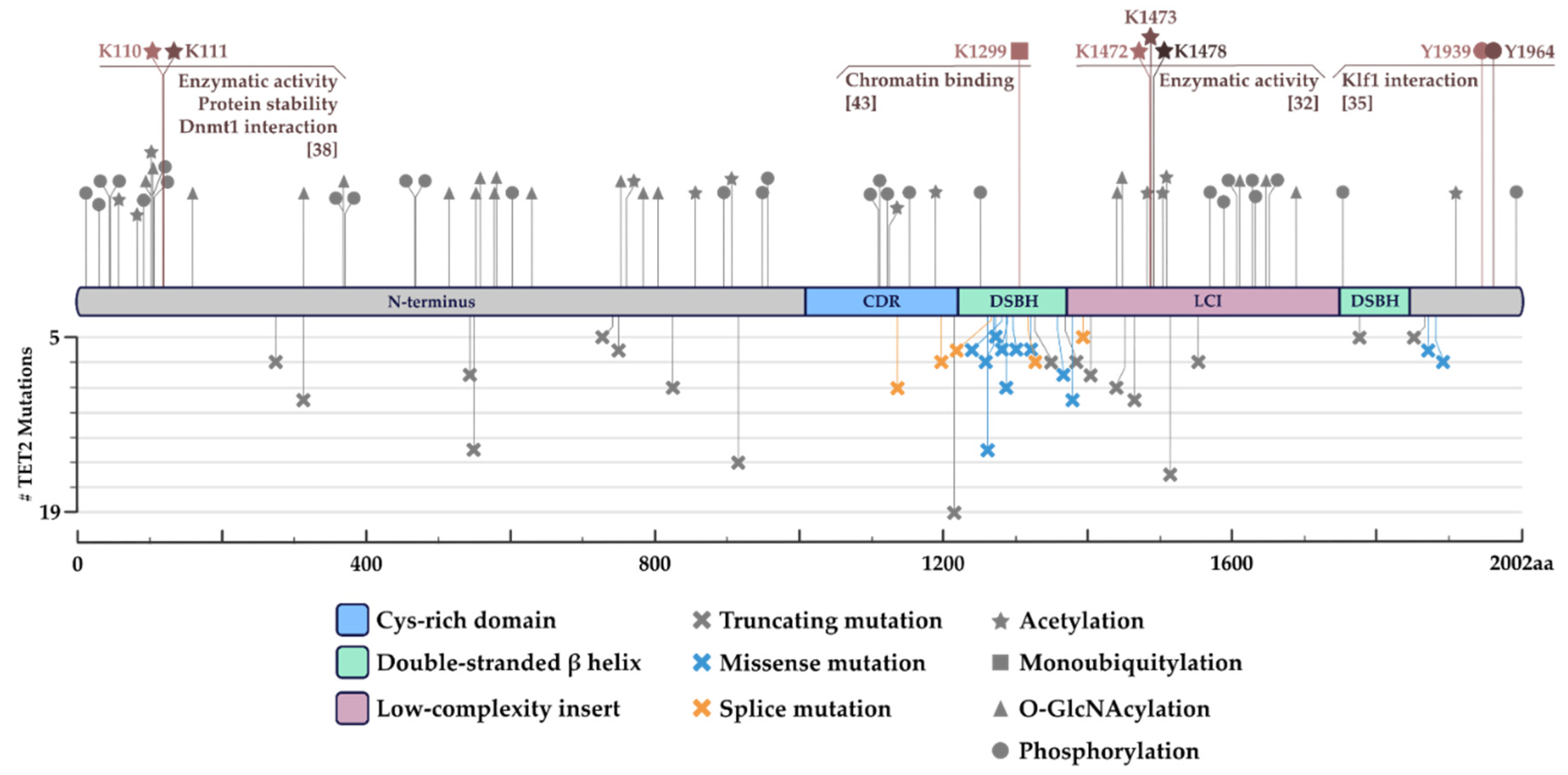 Cancers 14 00830 g001 Cancers 14 00830 g001