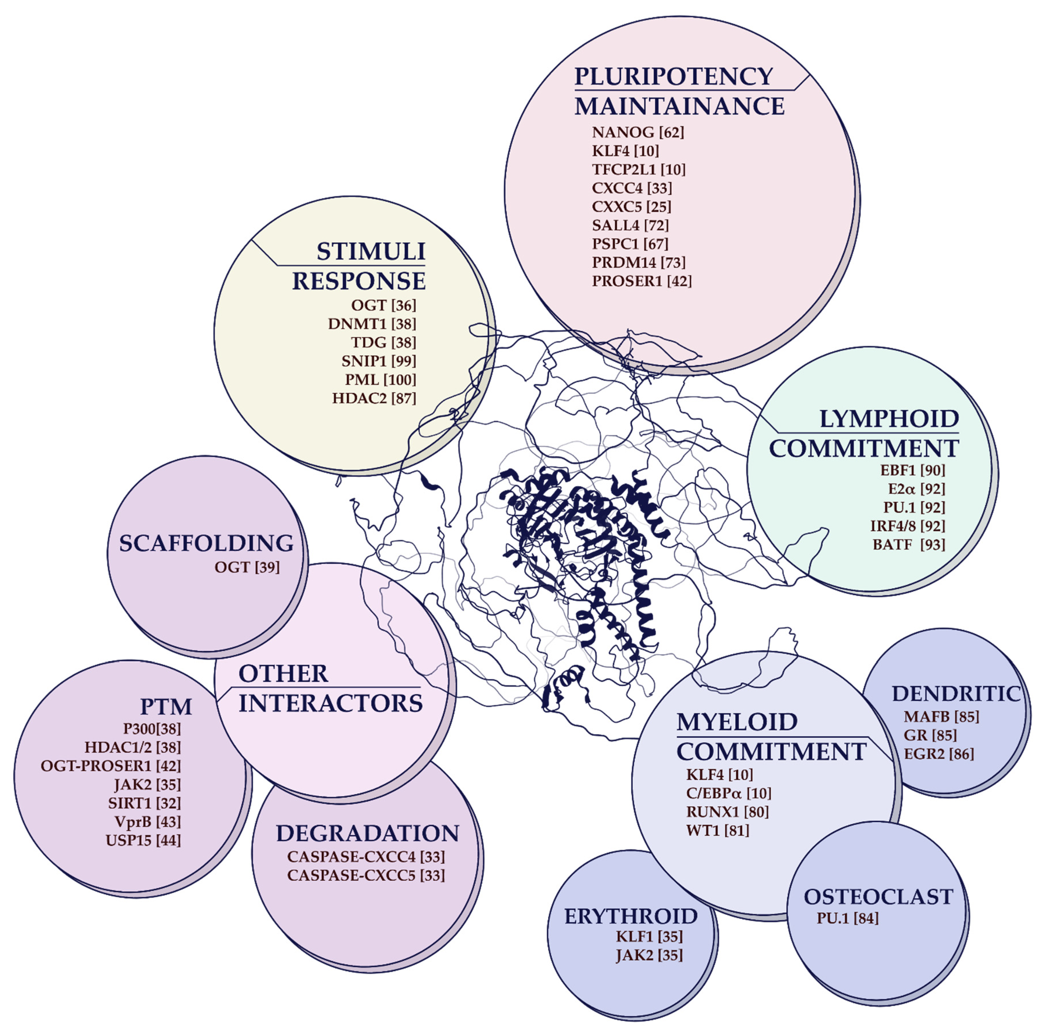 Cancers 14 00830 g002 Cancers 14 00830 g002
