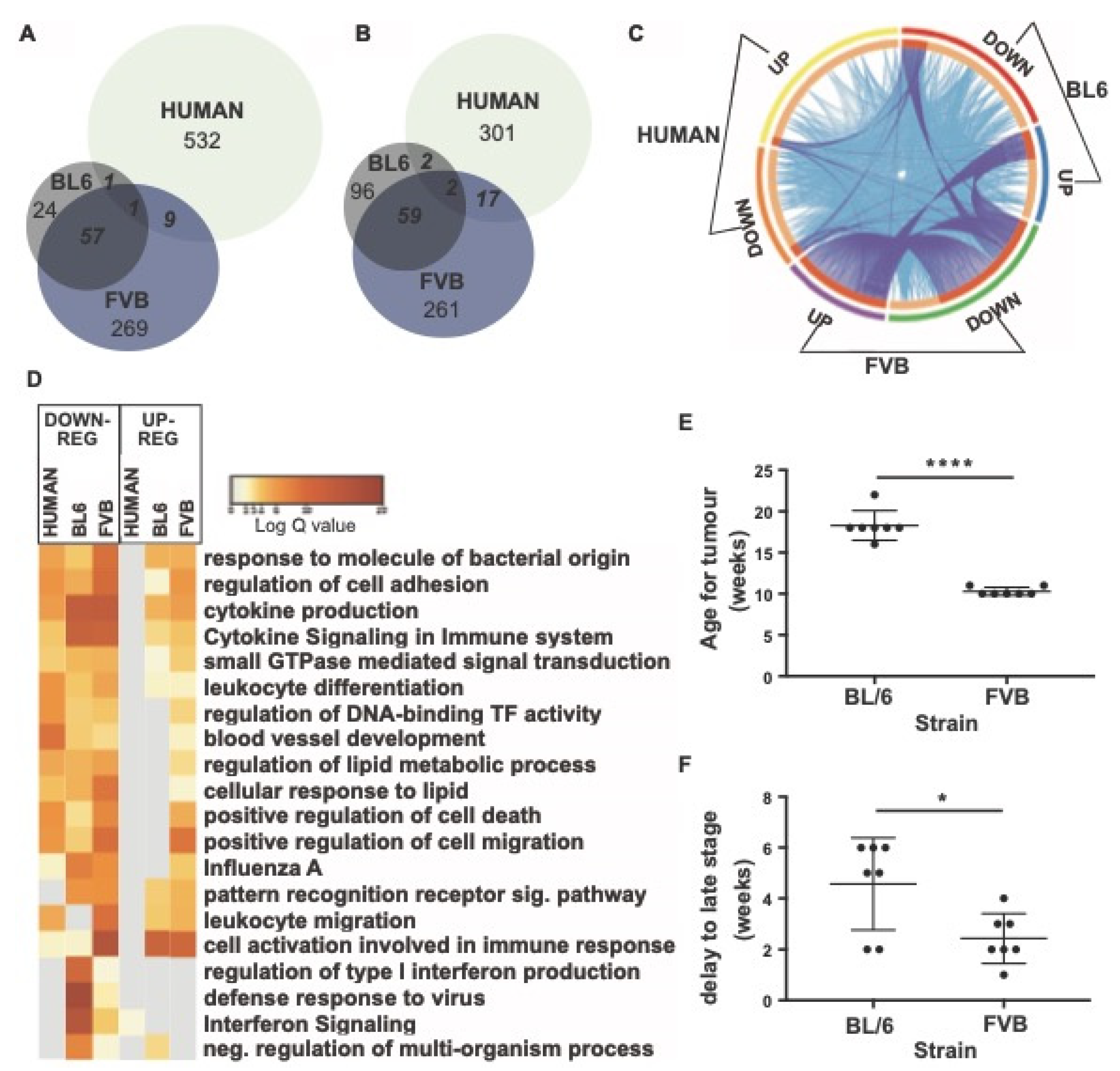 Cancers 14 00833 g007 Cancers 14 00833 g007