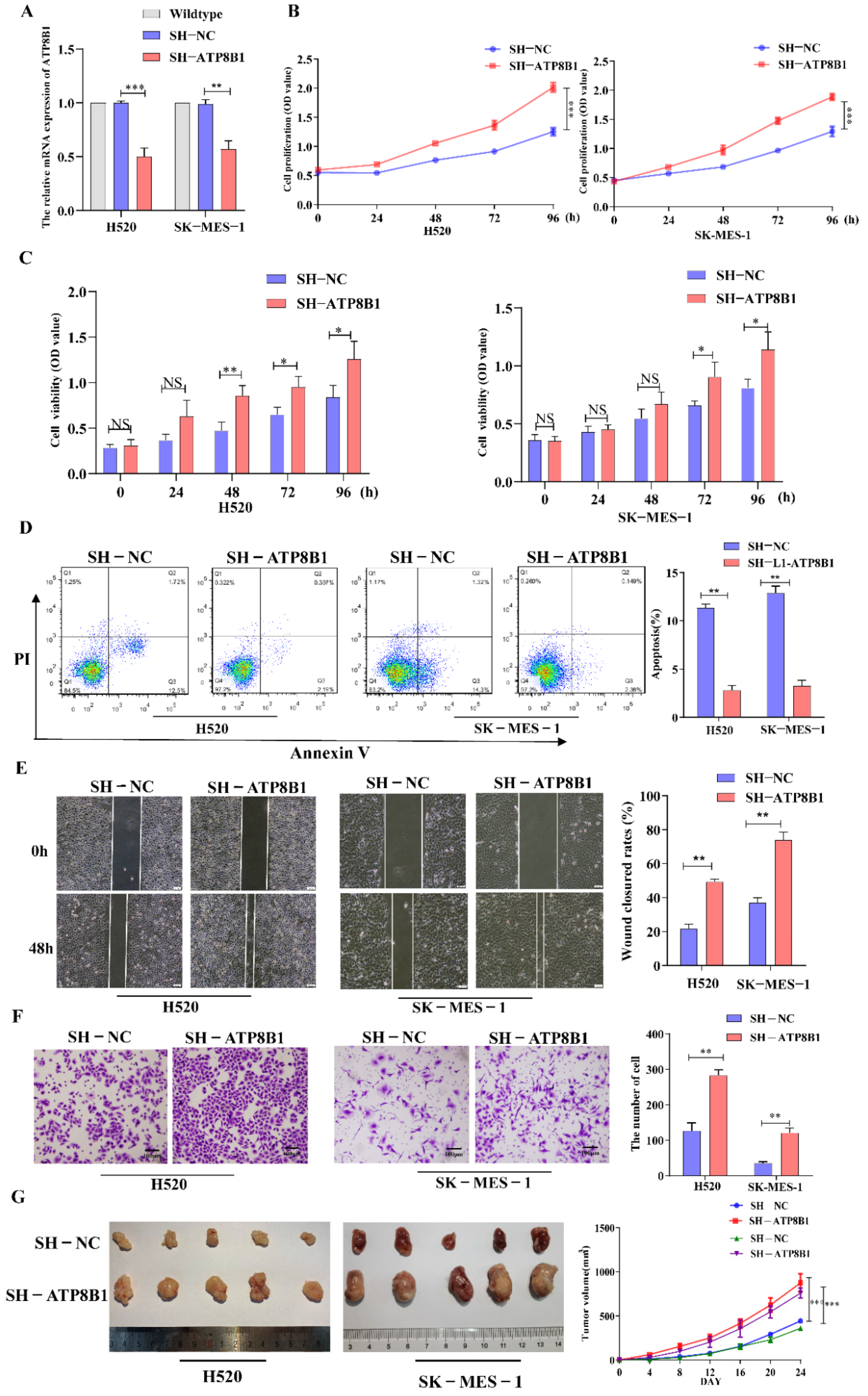 Cancers 14 00835 g002