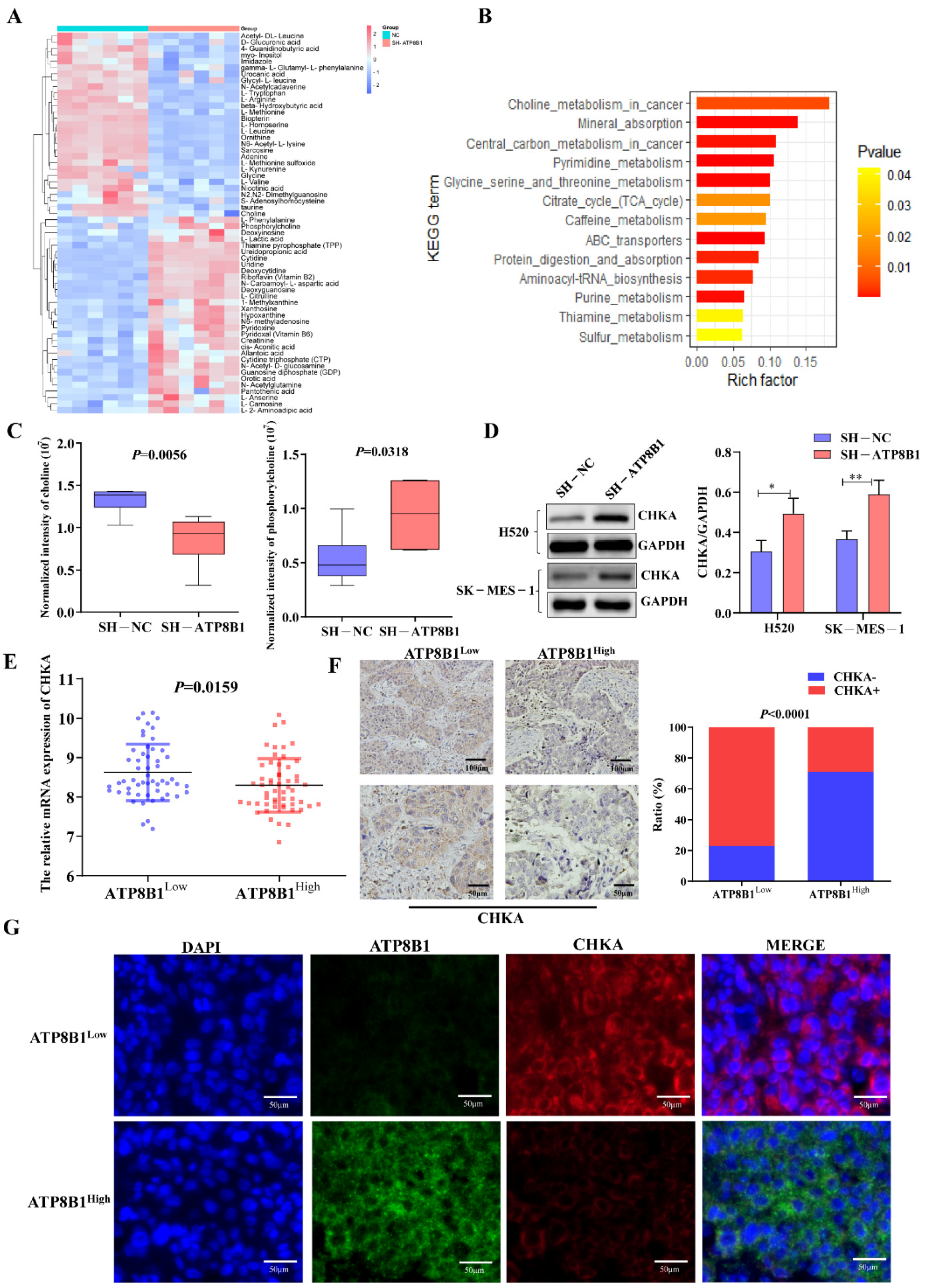 Cancers 14 00835 g003