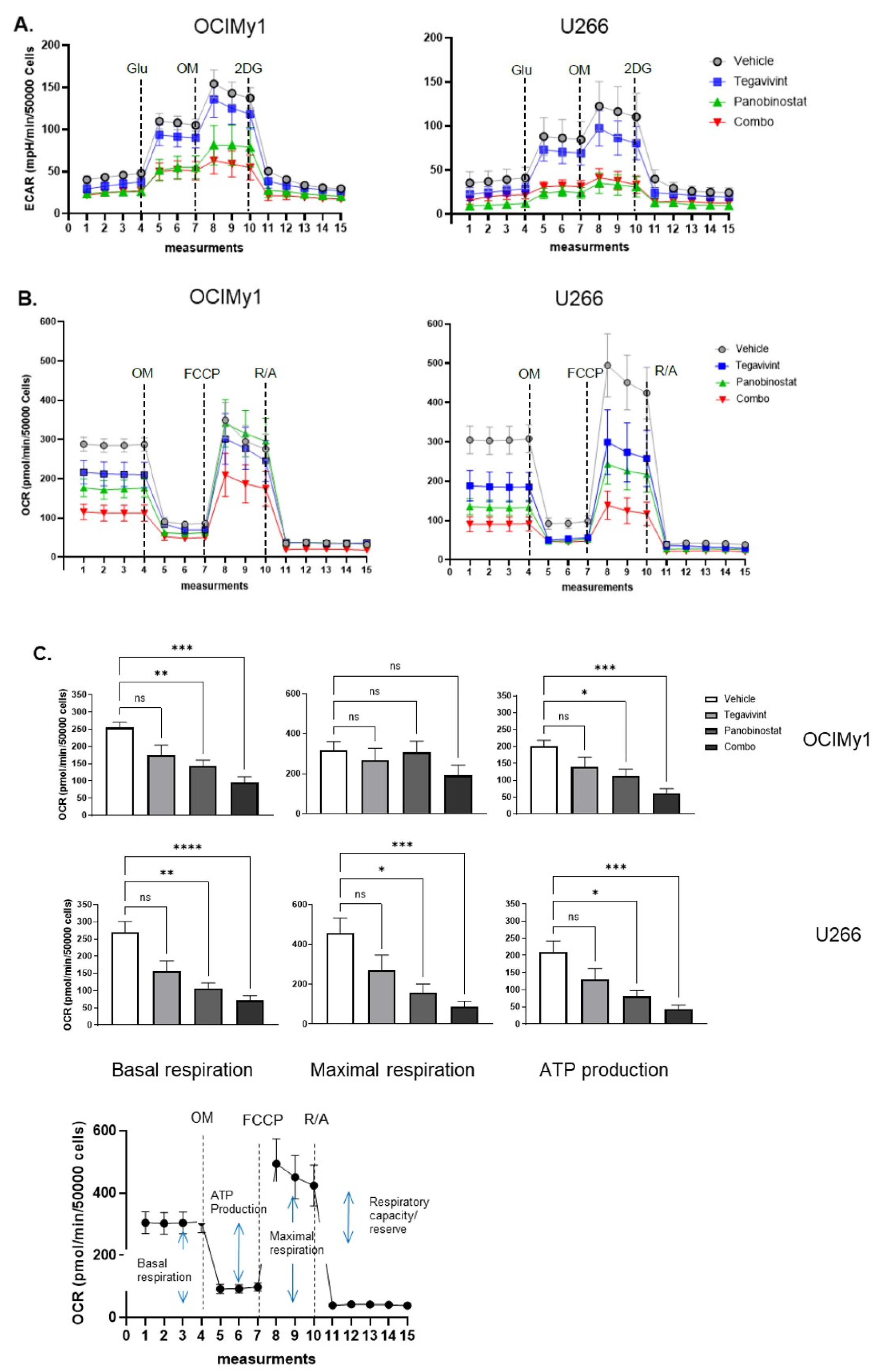 Cancers 14 00840 g004 550