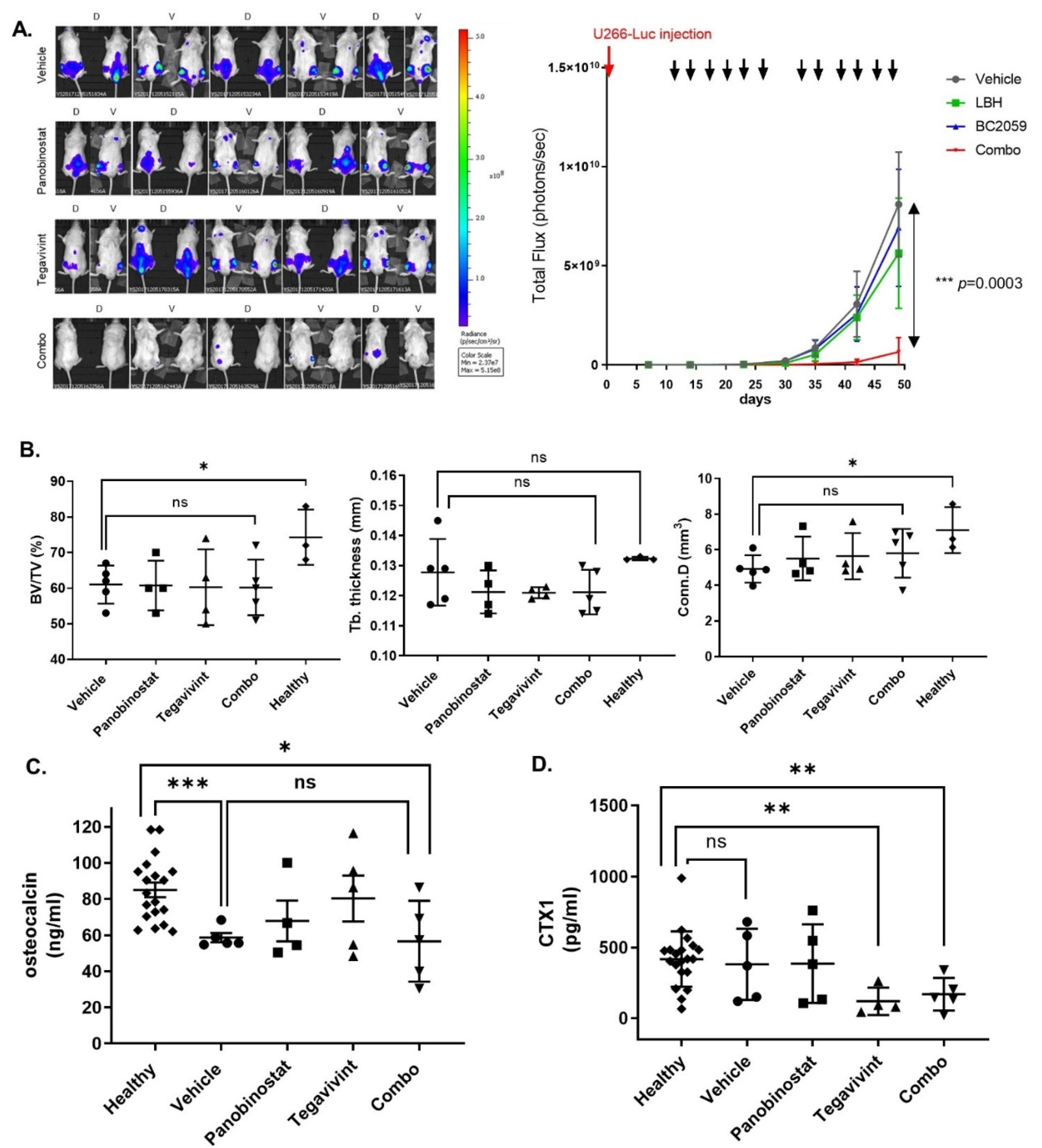 Cancers 14 00840 g006 550