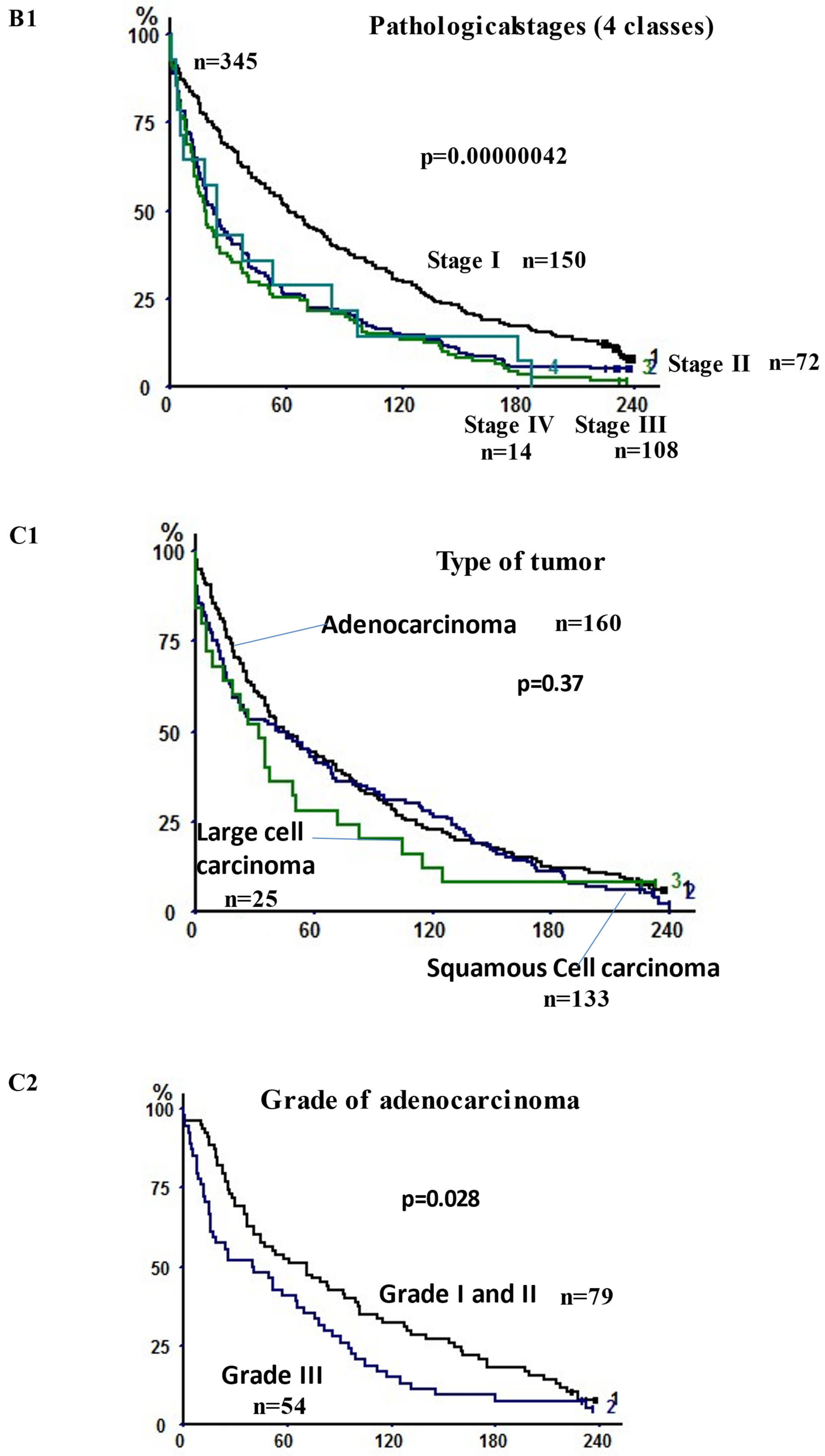 Cancers 14 00874 g002b