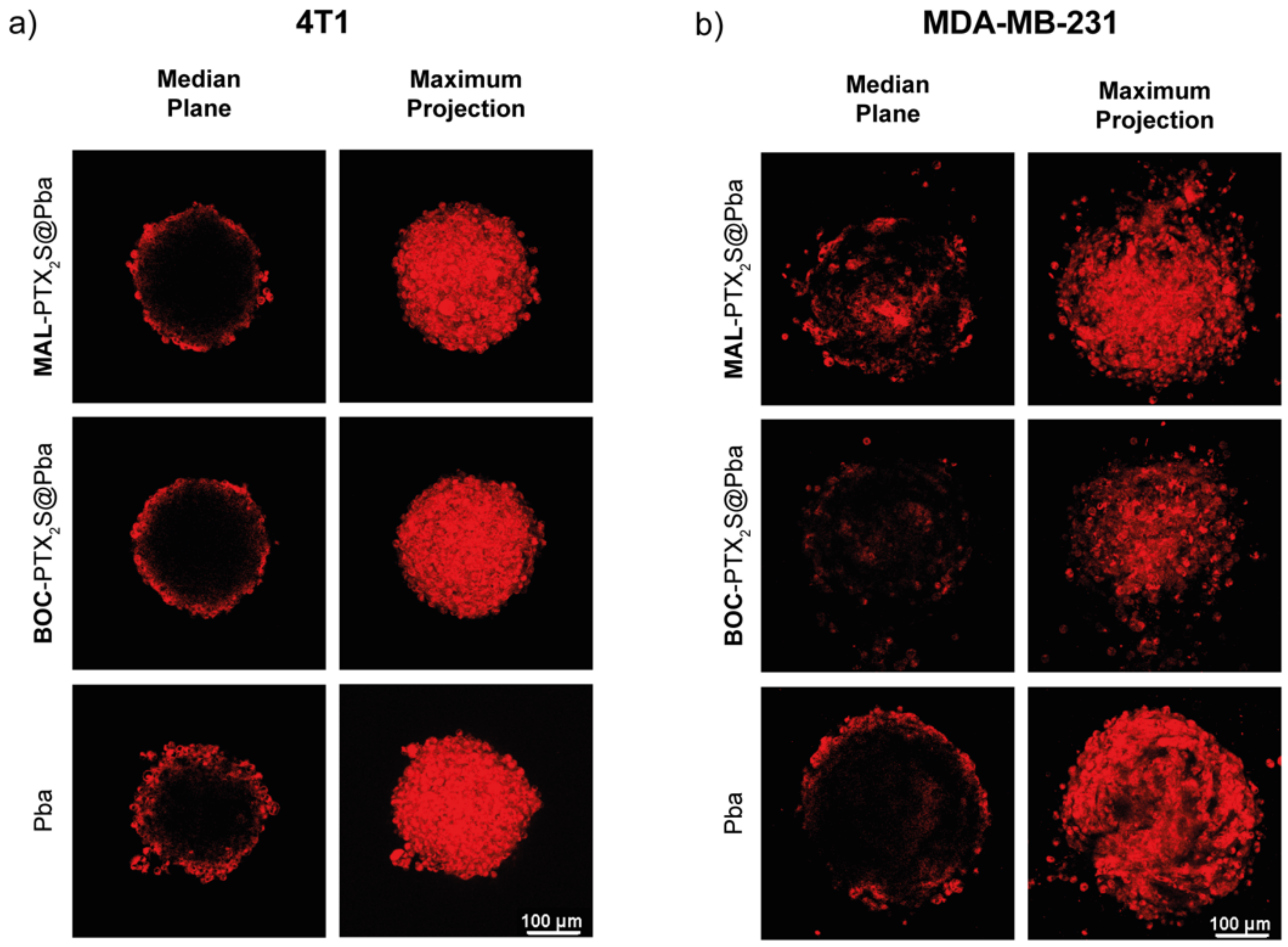 Cancers 14 00877 g008 550