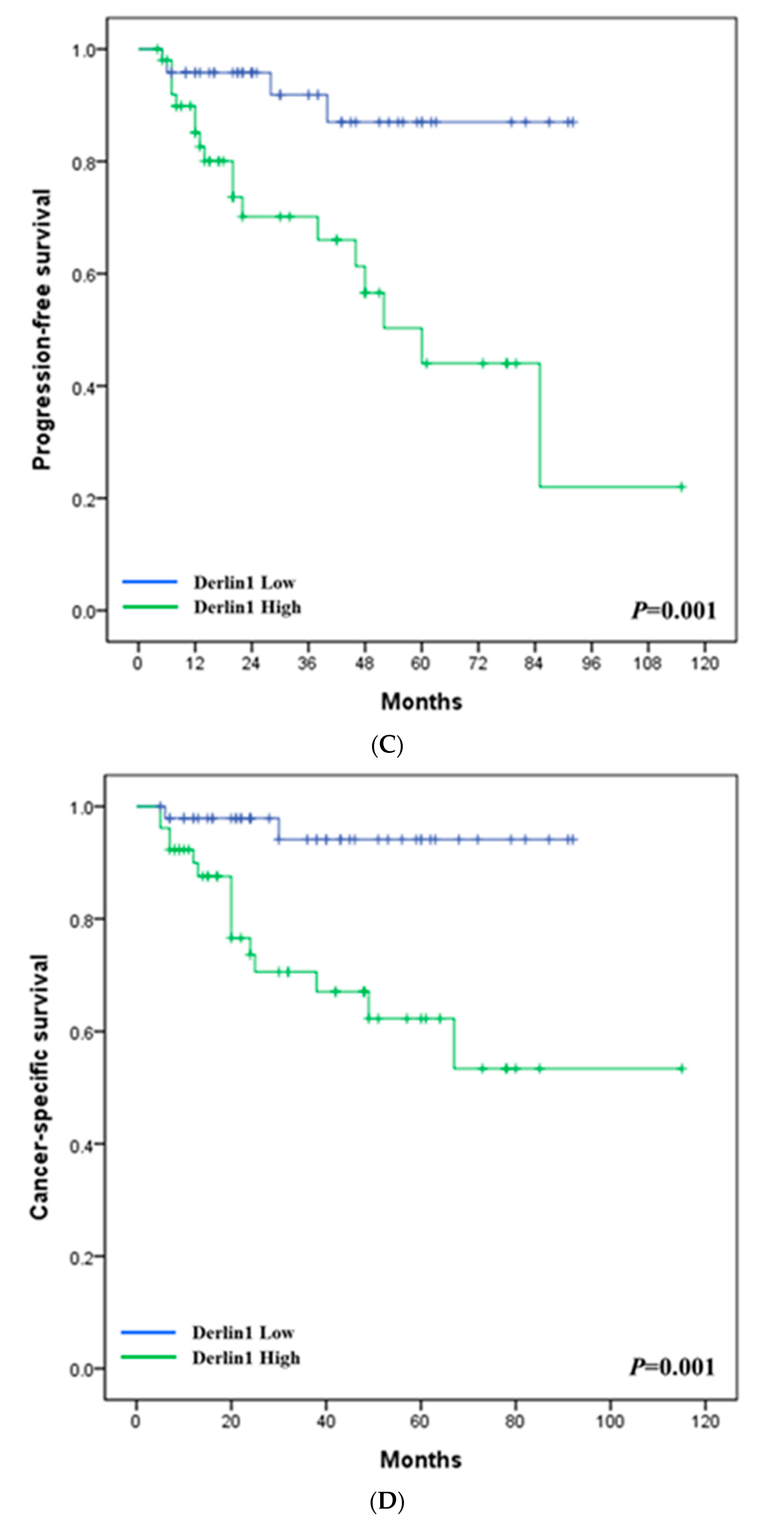 Cancers 14 00880 g001b