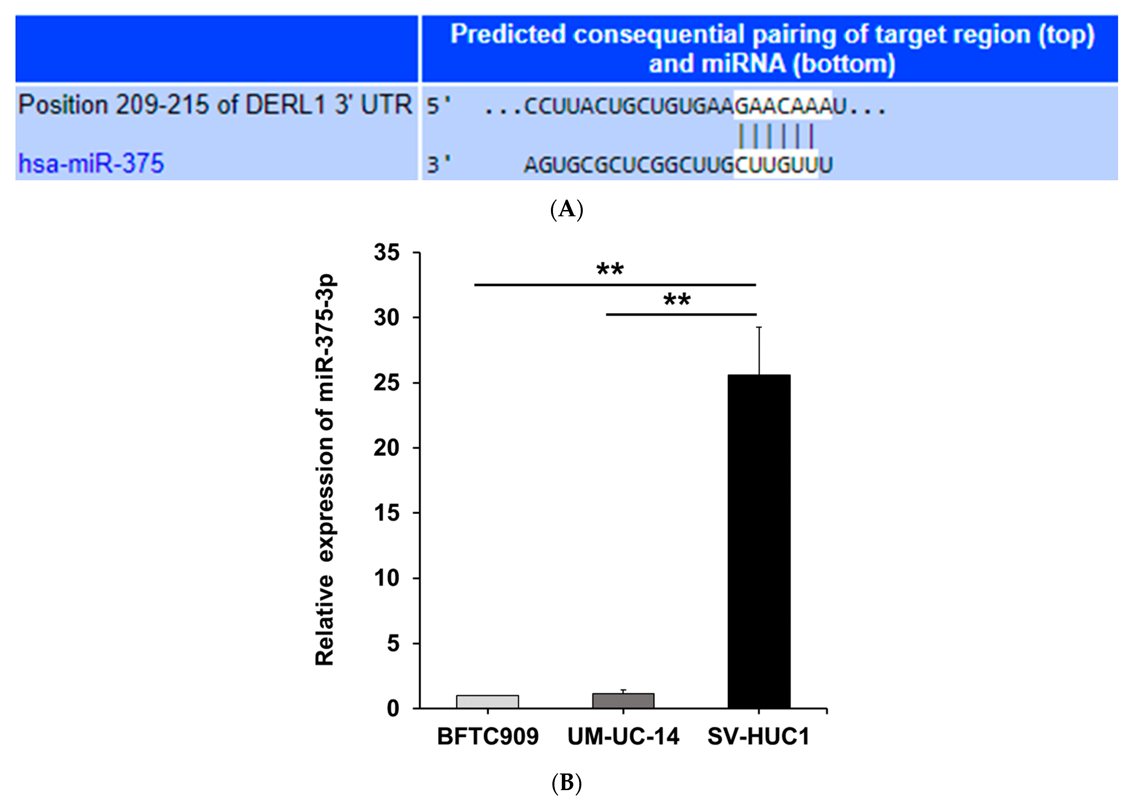 Cancers 14 00880 g003a