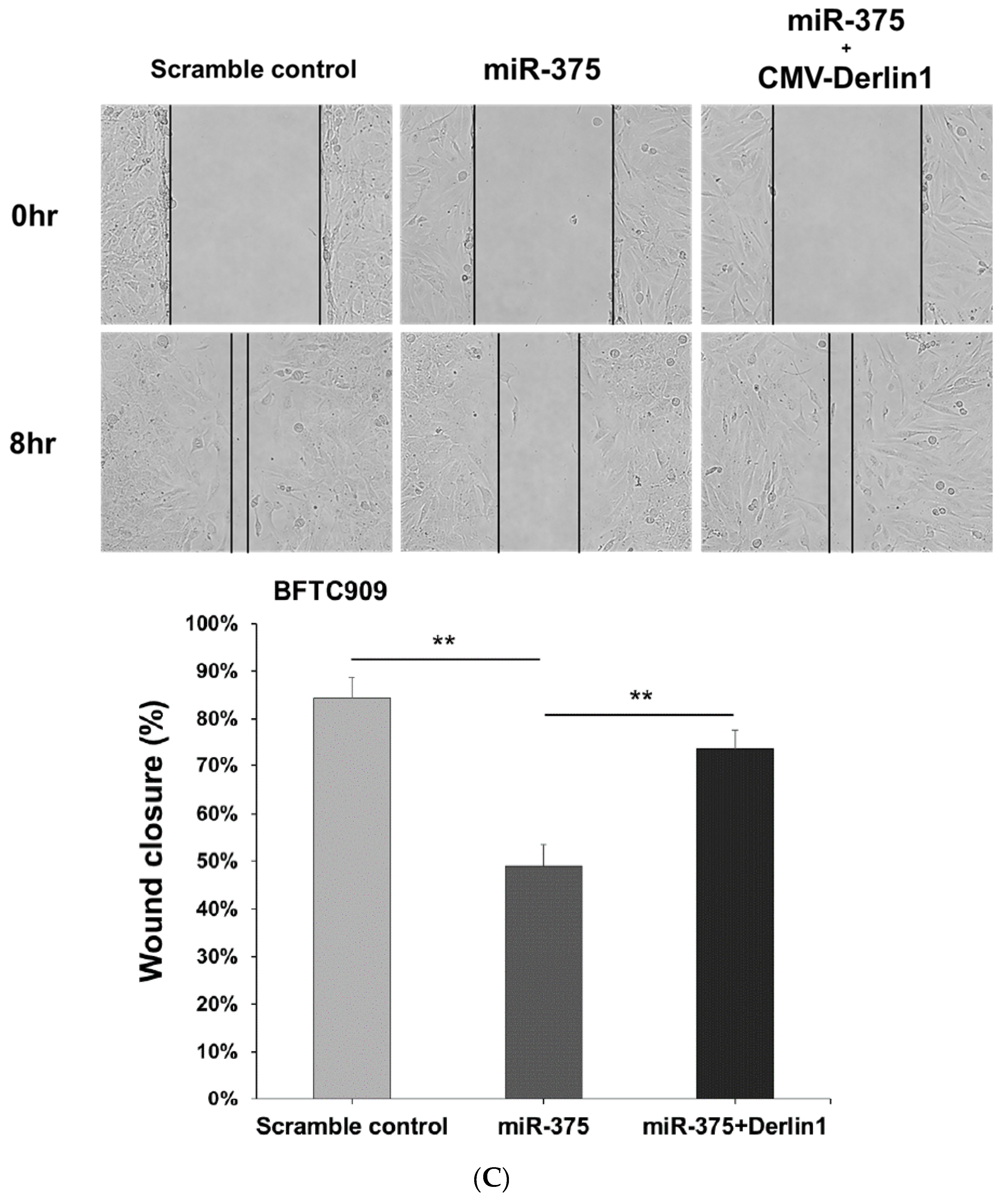Cancers 14 00880 g005c