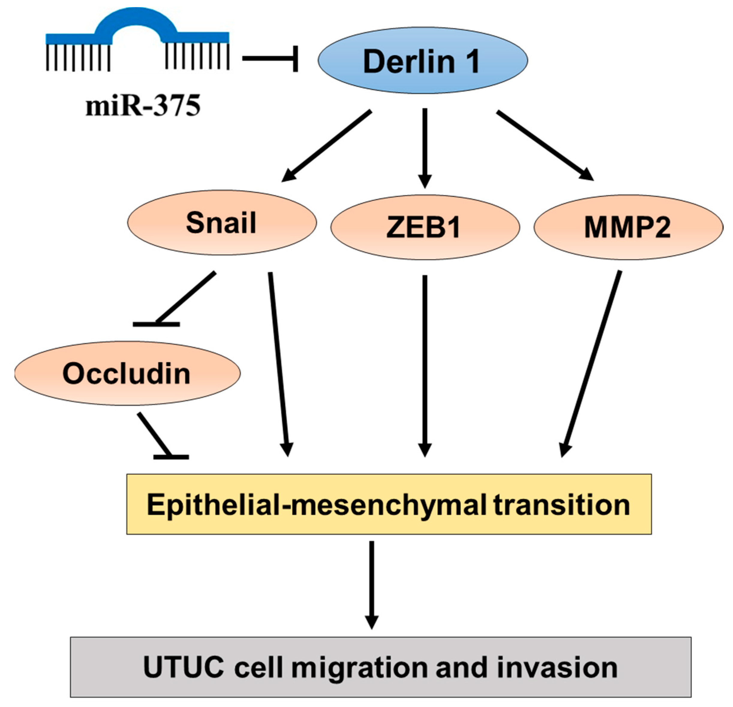 Cancers 14 00880 g006