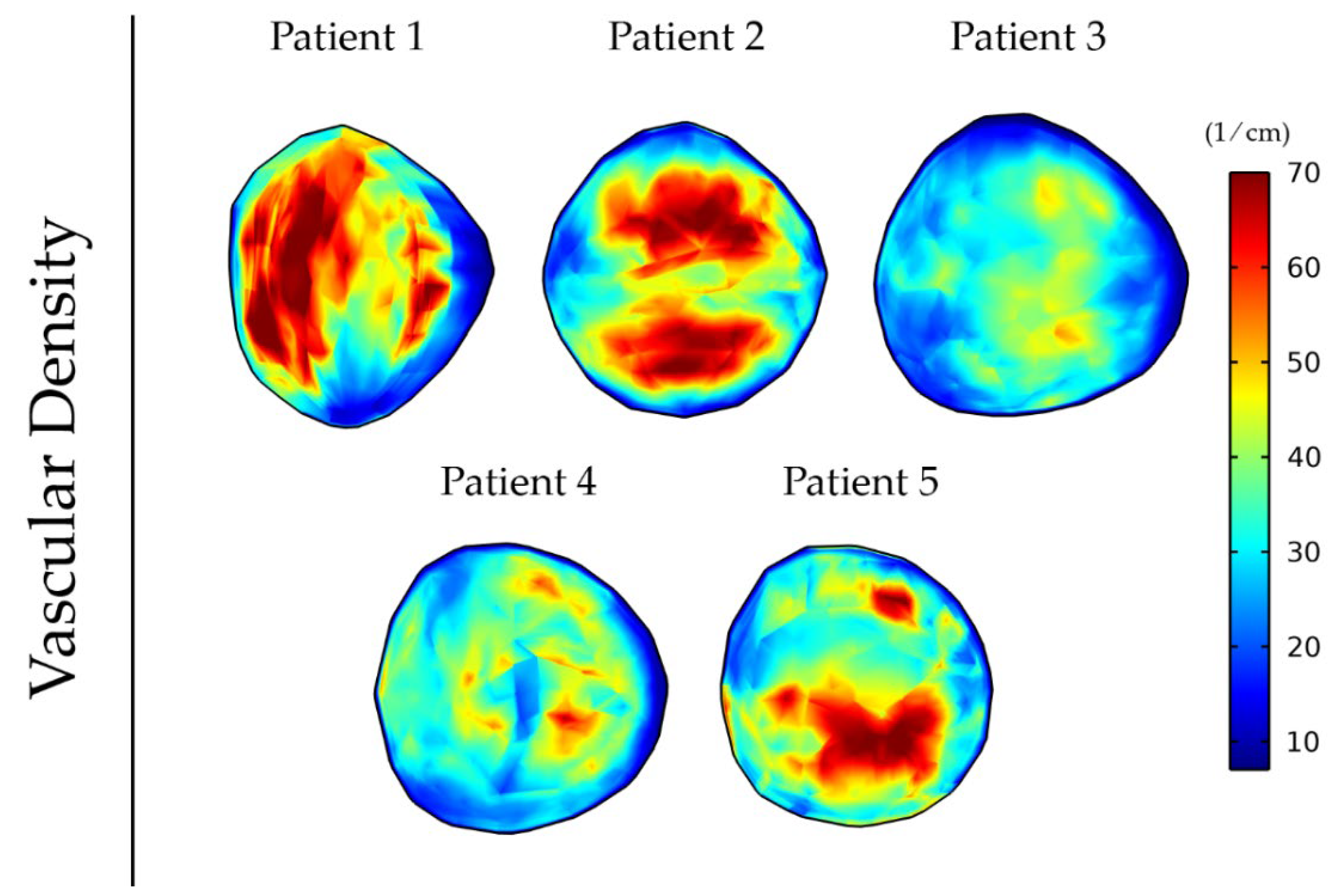 Cancers 14 00884 g005