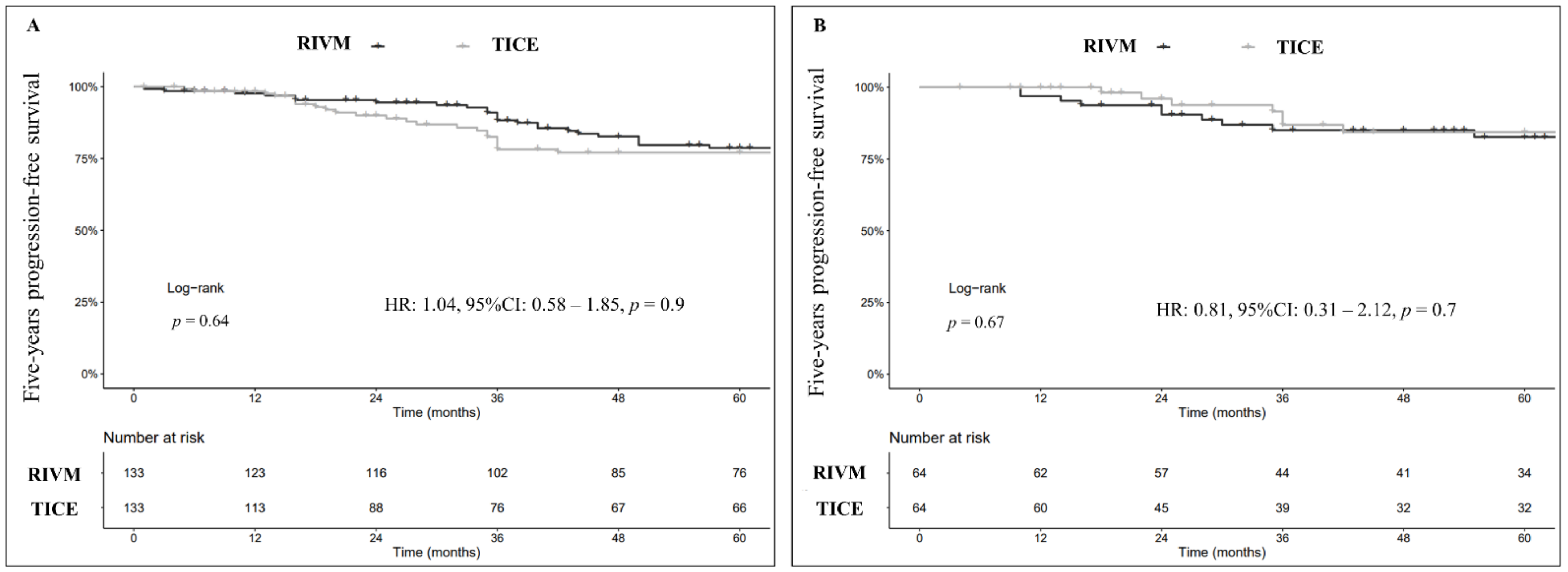 Cancers Free FullText Compared Efficacy of Adjuvant Intravesical BCGTICE vs. BCGRIVM for