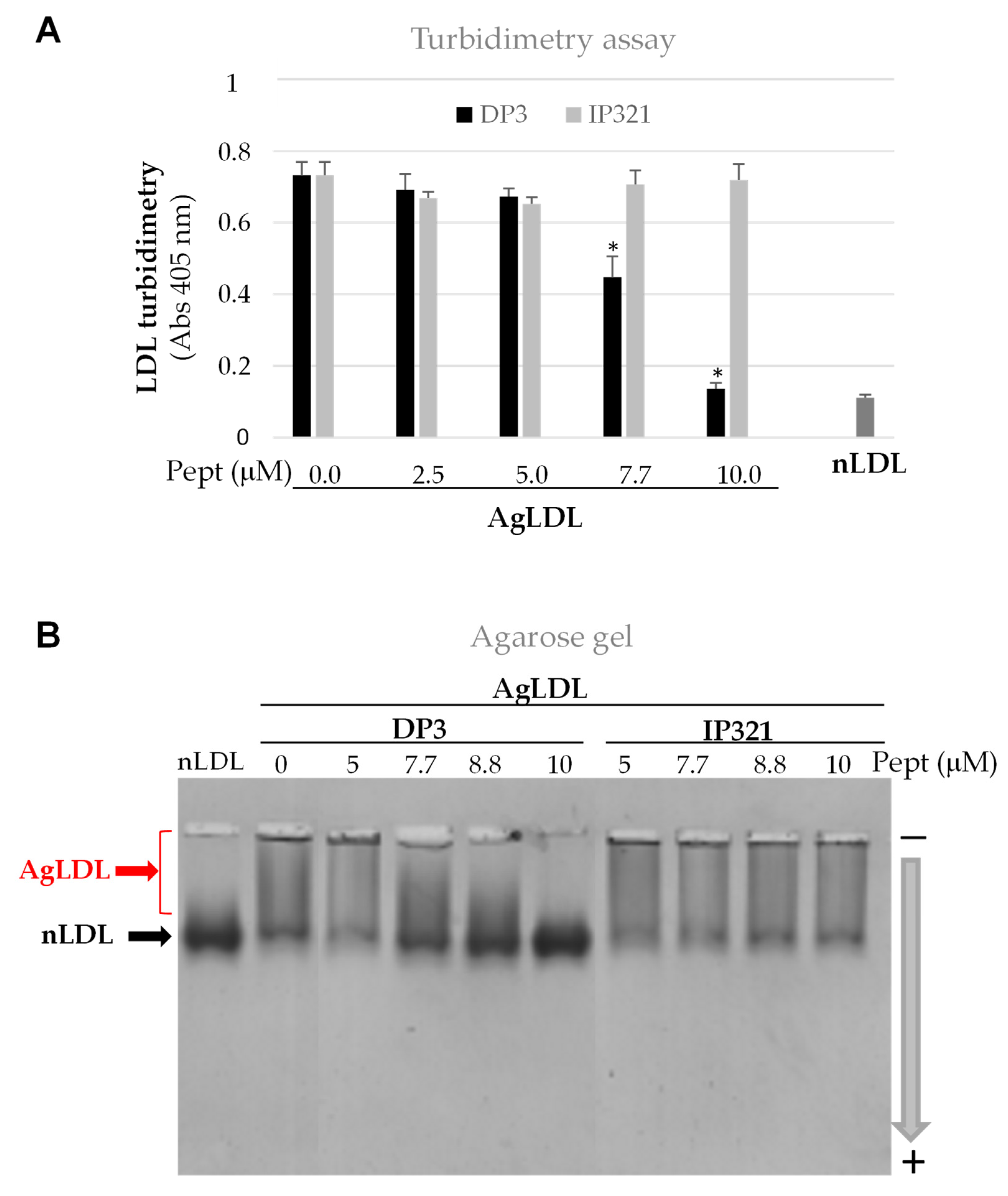 Cancers Free Full Text Peptides Against Low Density Lipoprotein Ldl Aggregation Inhibit Intracellular Cholesteryl Ester Loading And Proliferation Of Pancreatic Tumor Cells