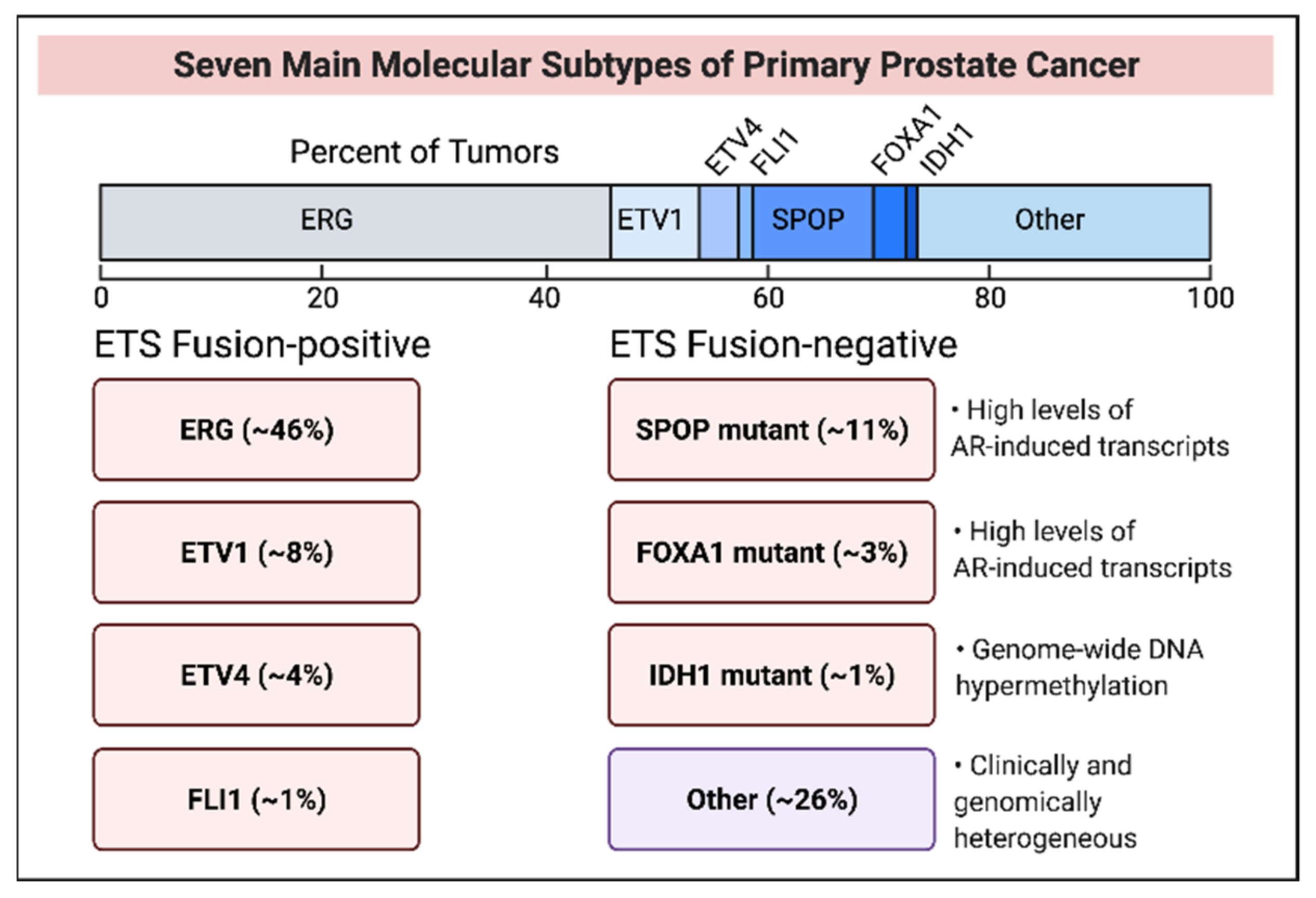 Cancers 14 00892 g004 Cancers 14 00892 g004