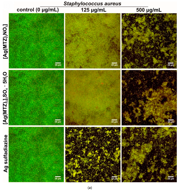 Cancers 14 00900 g008a Cancers 14 00900 g008a