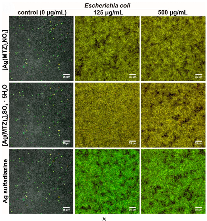 Cancers 14 00900 g008b Cancers 14 00900 g008b