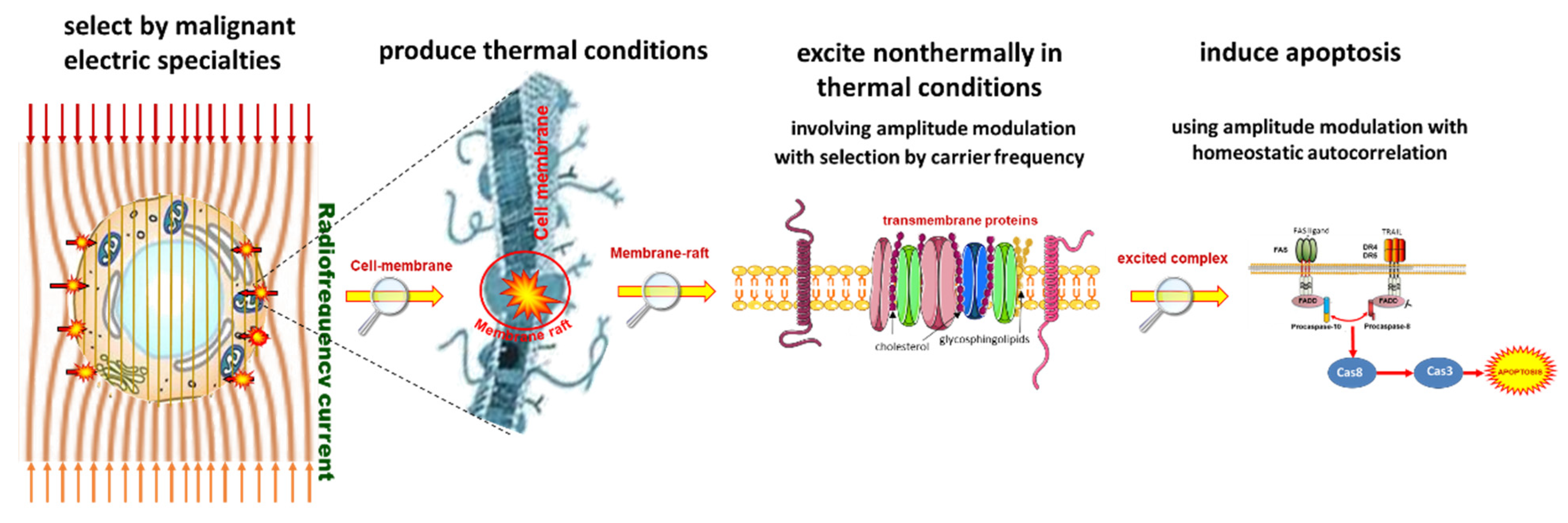 Cancers 14 00901 g005