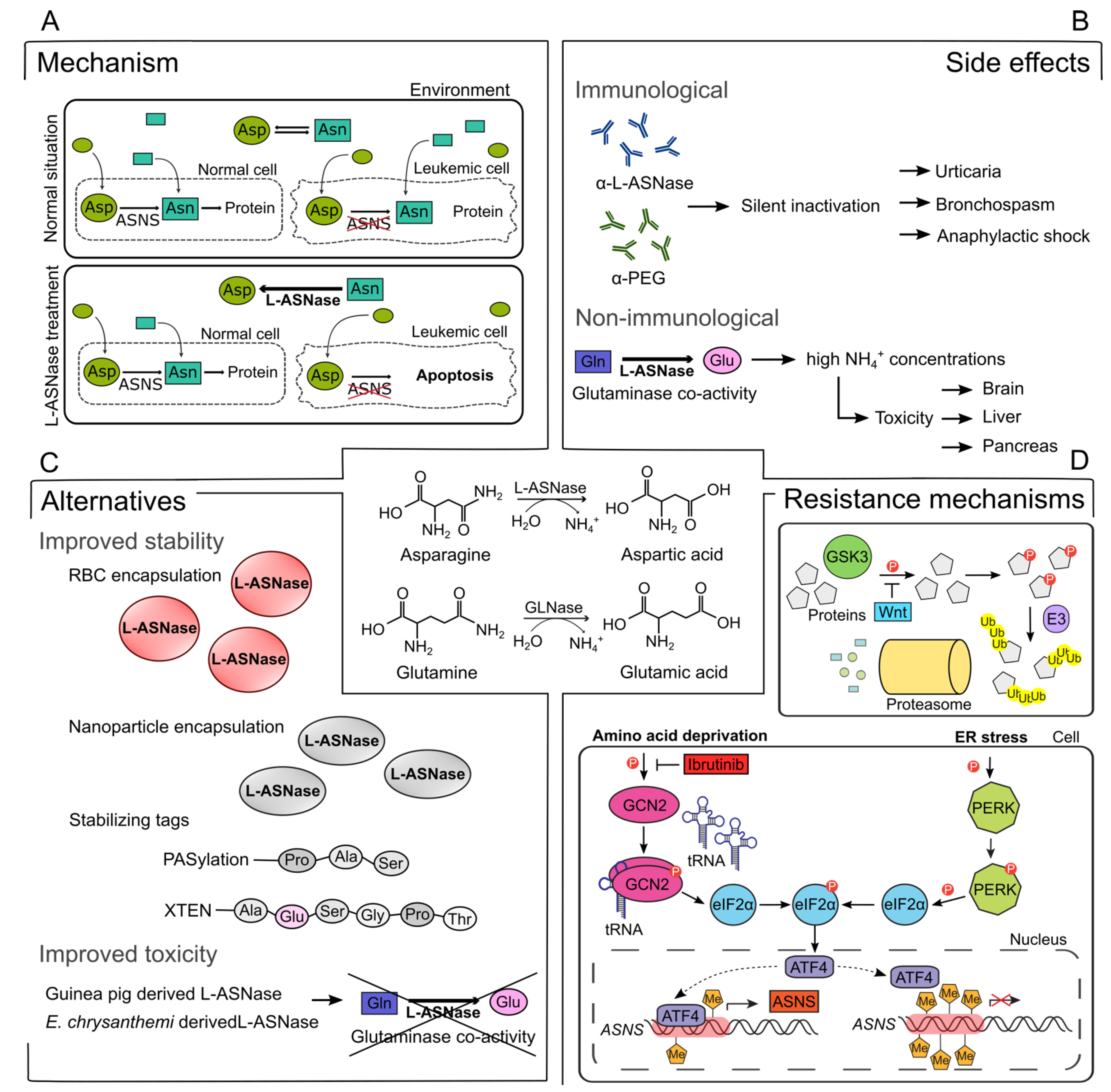Cancers 14 00902 g001 Cancers 14 00902 g001