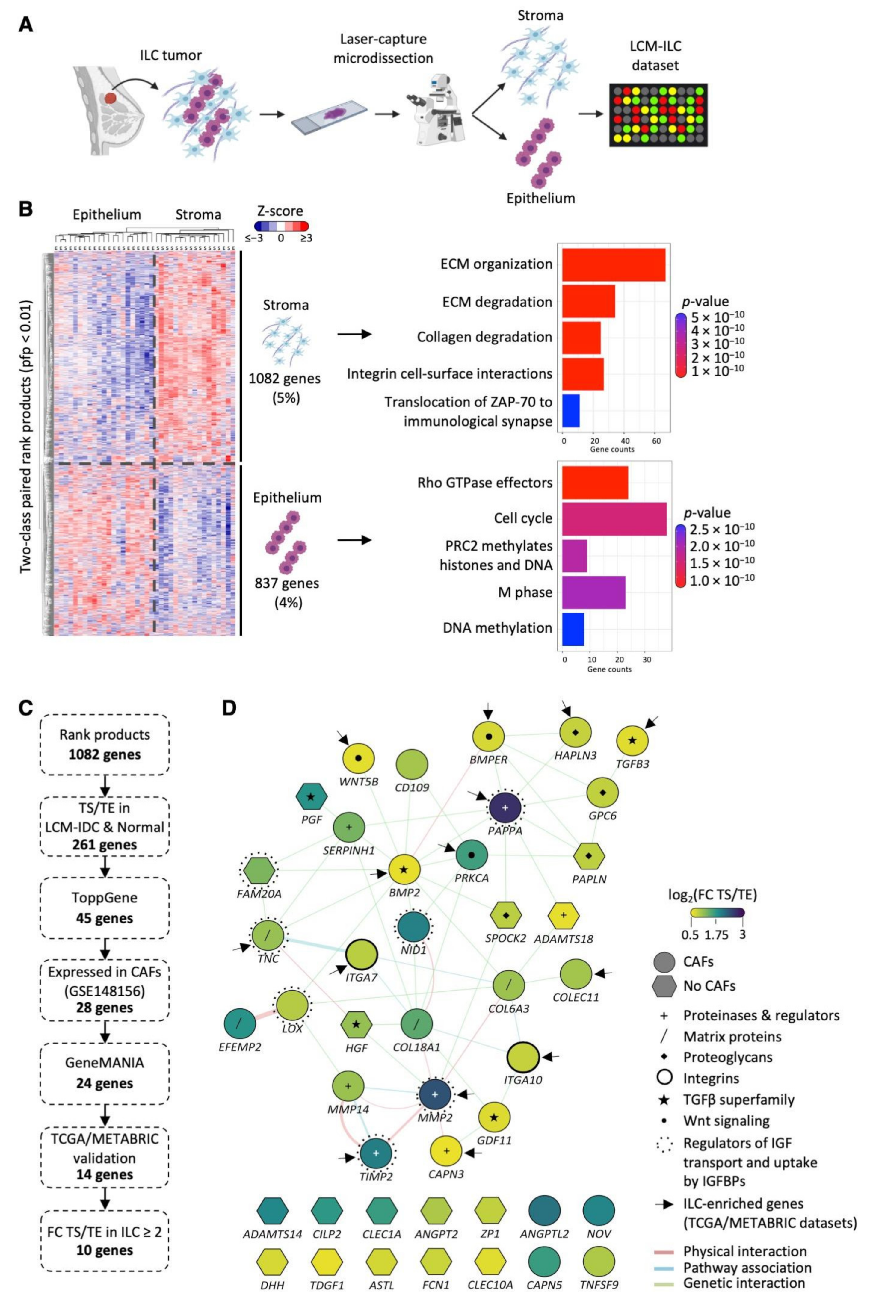 Cancers 14 00904 g001