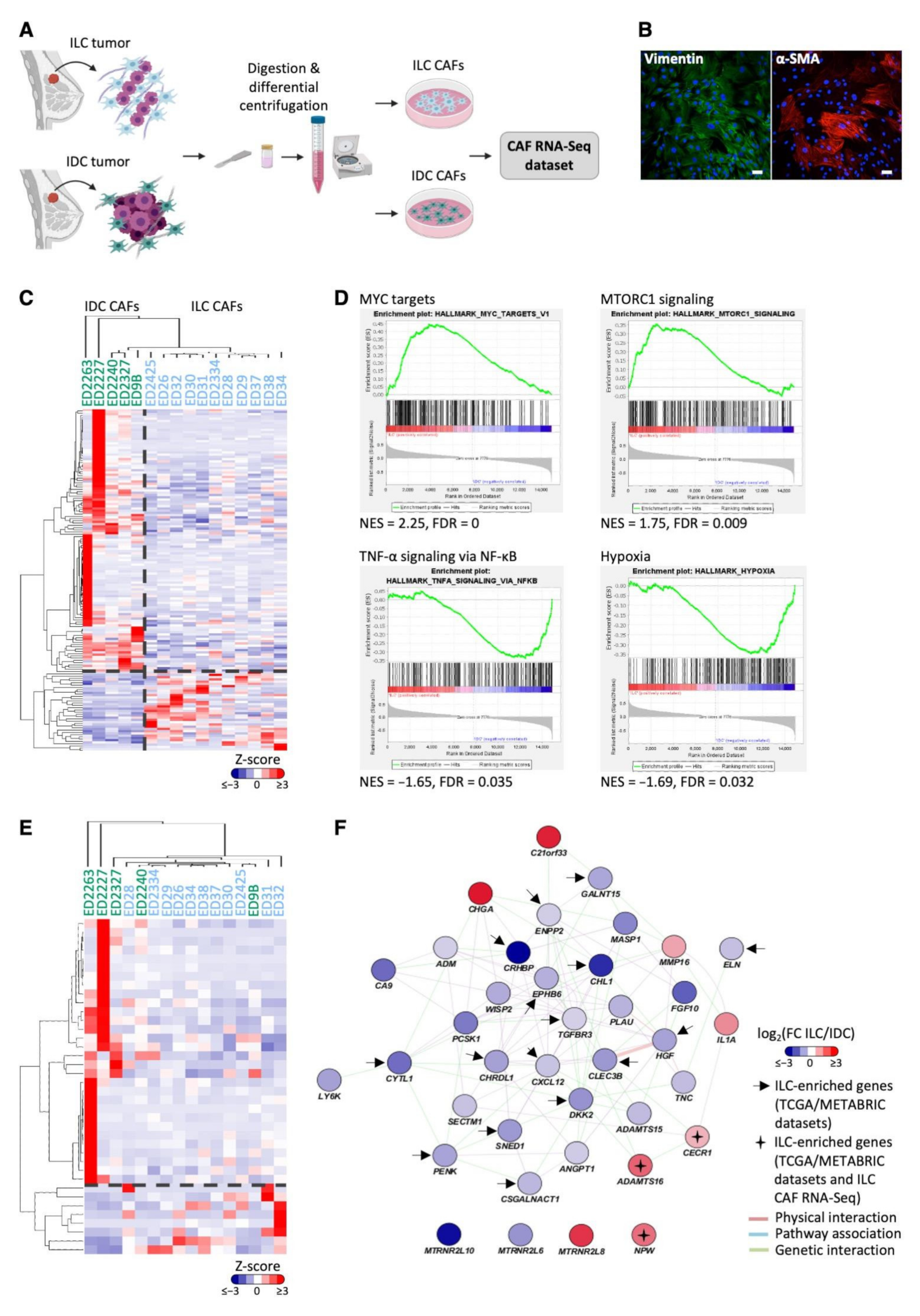 Cancers 14 00904 g003