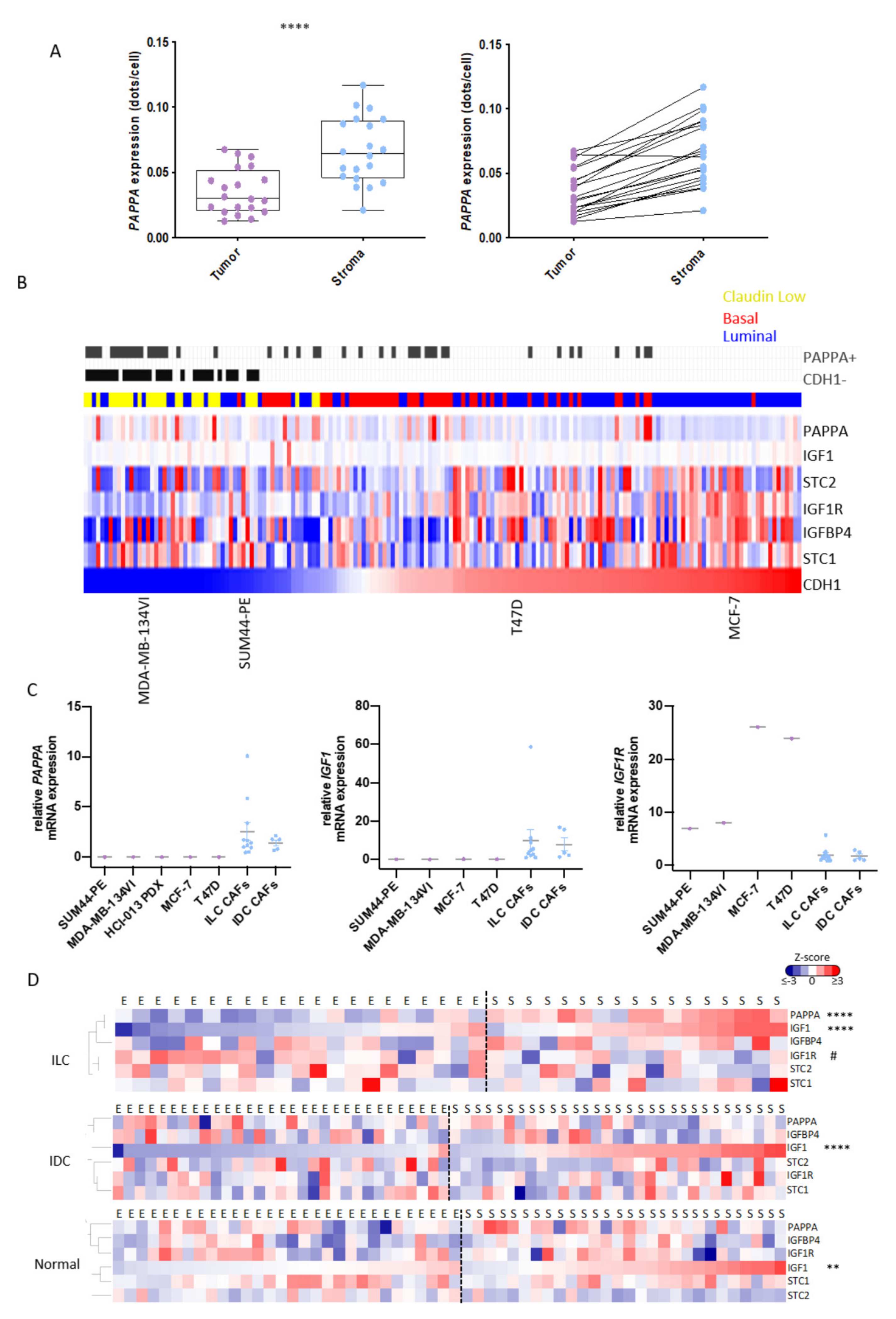 Cancers 14 00904 g005