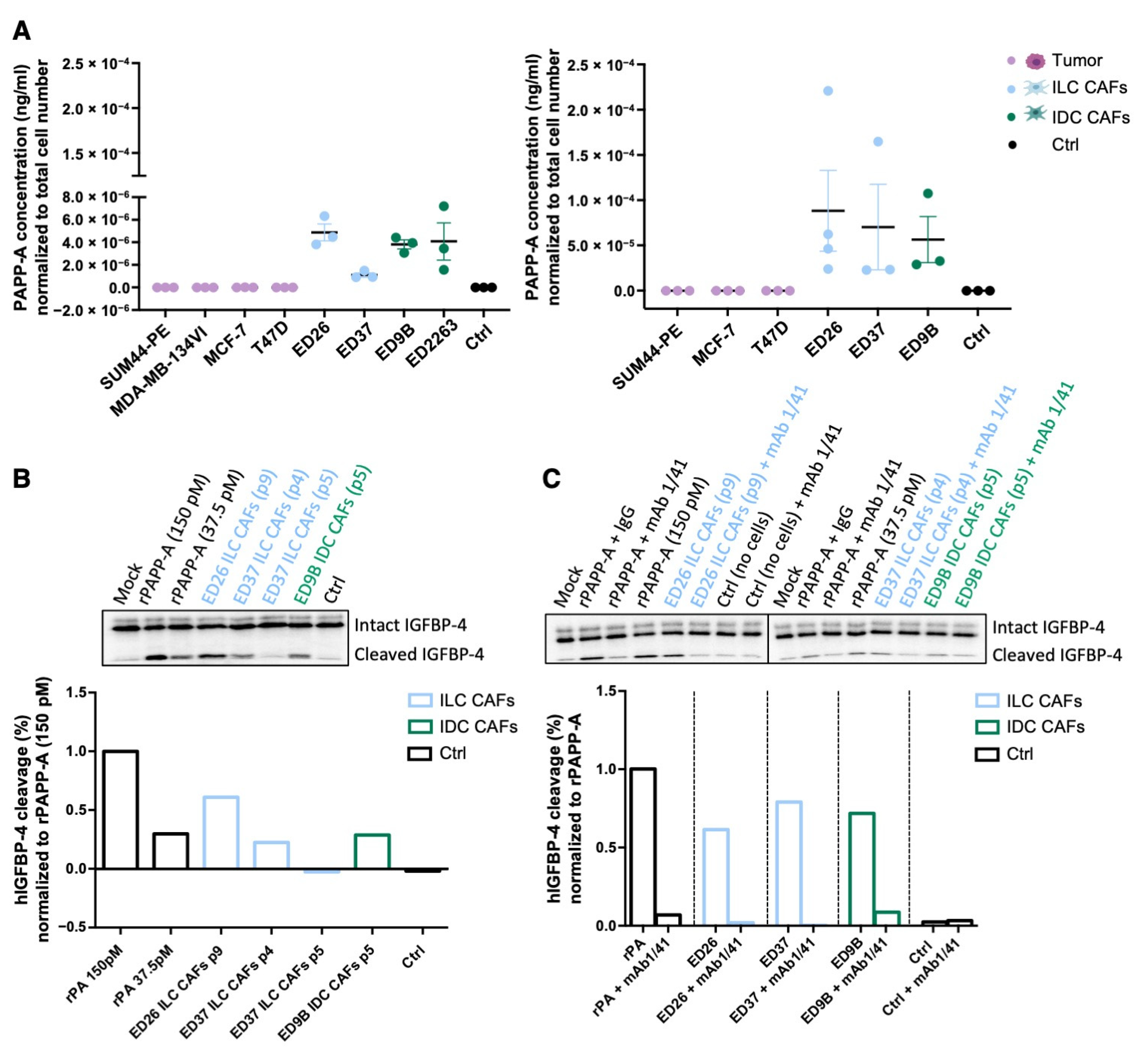 Cancers 14 00904 g006