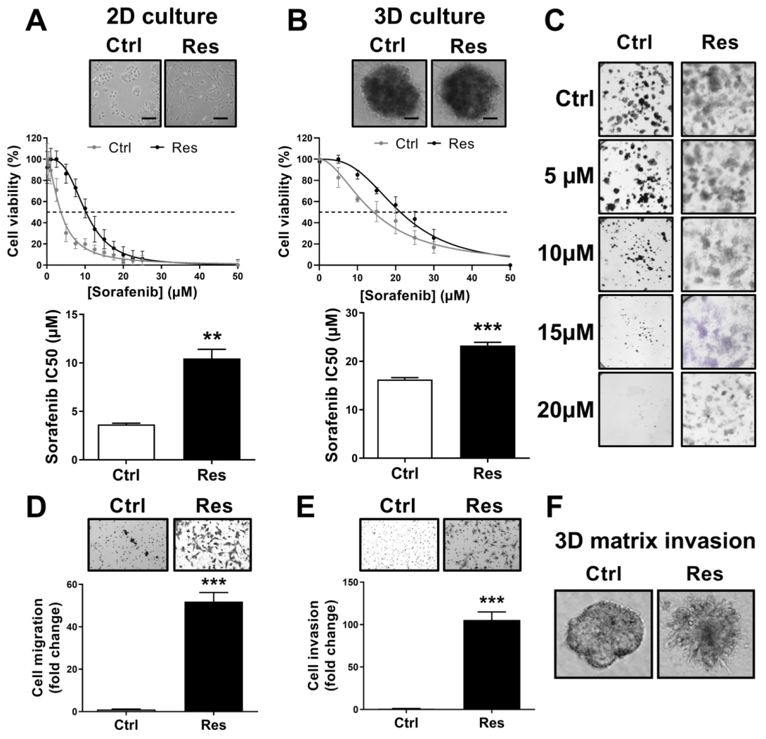 Cancers 14 00910 g001 Cancers 14 00910 g001