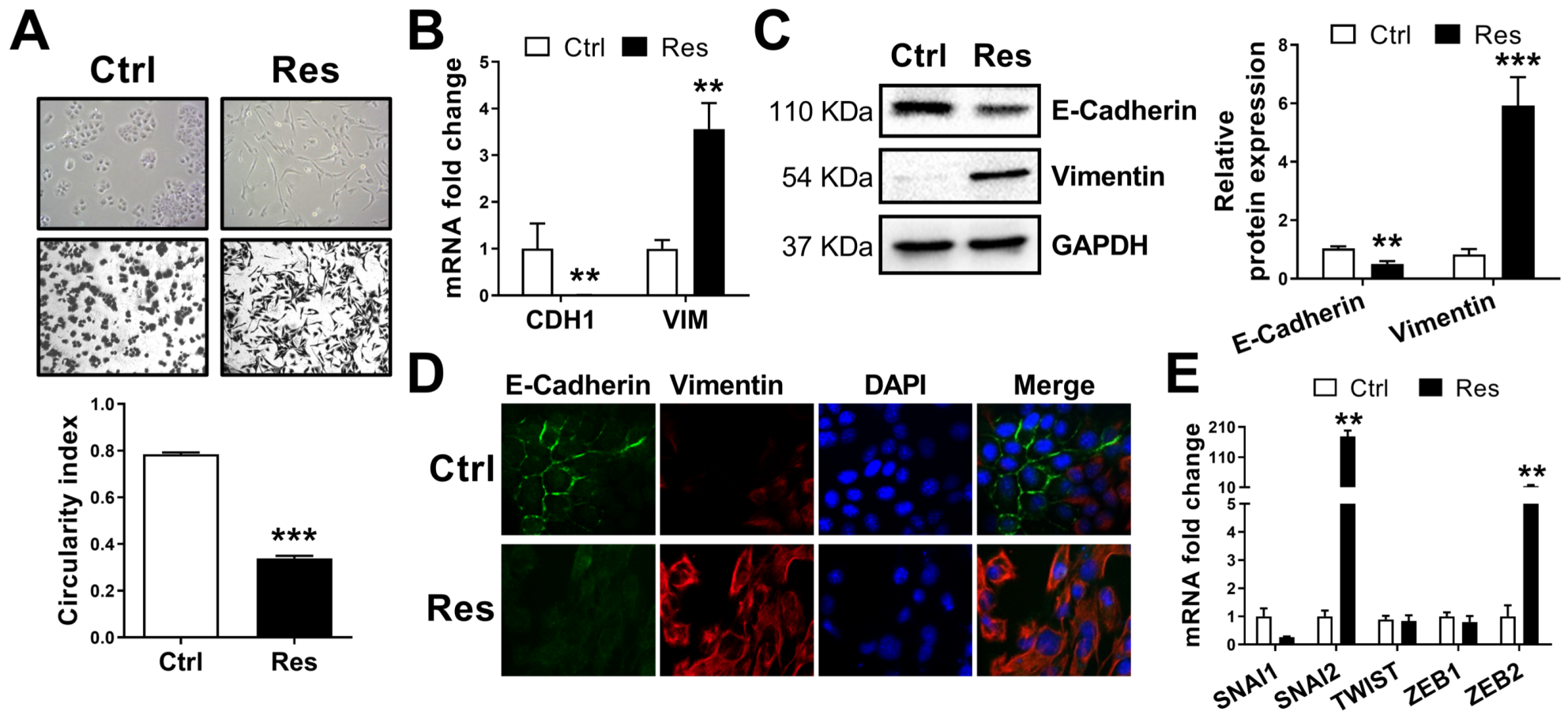 Cancers 14 00910 g002 Cancers 14 00910 g002