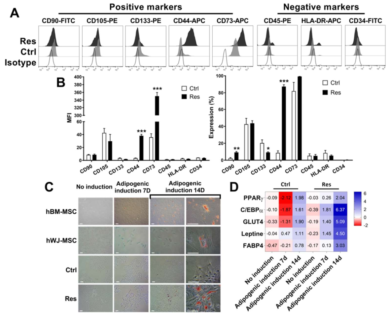 Cancers 14 00910 g003 Cancers 14 00910 g003