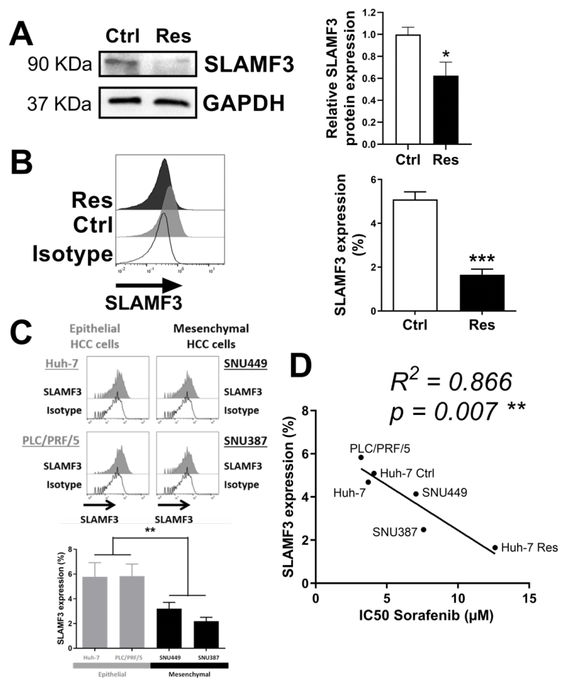 Cancers 14 00910 g004 Cancers 14 00910 g004