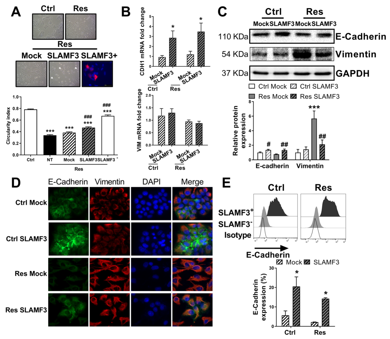 Cancers 14 00910 g006 Cancers 14 00910 g006
