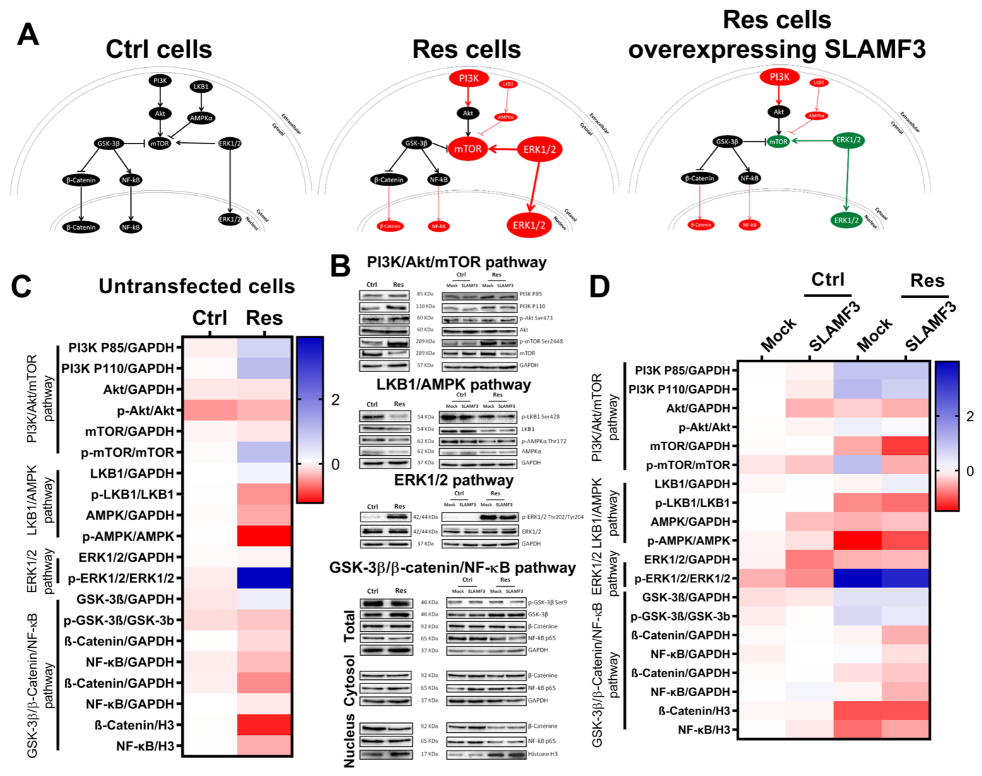 Cancers 14 00910 g007 Cancers 14 00910 g007