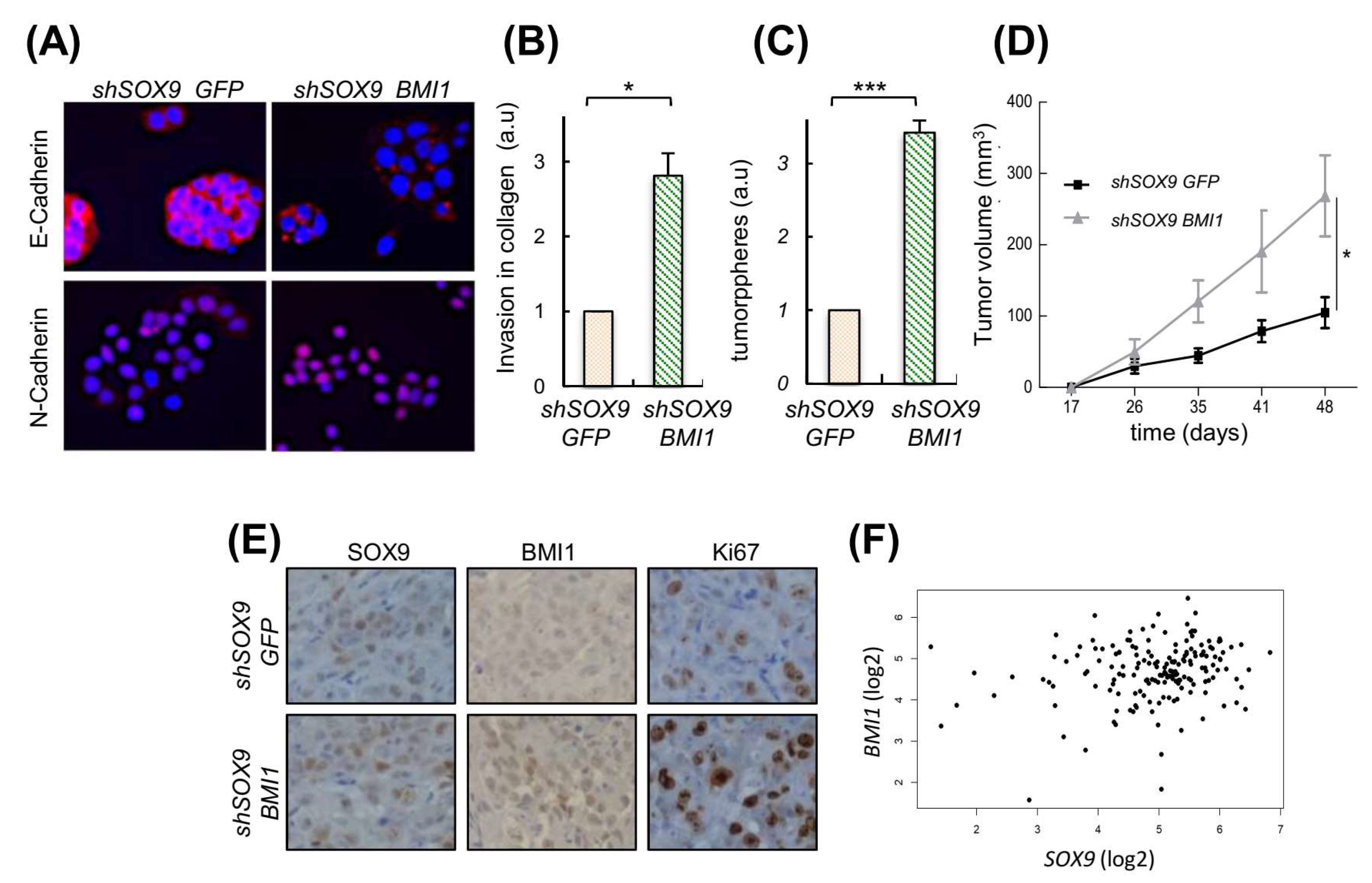 Cancers 14 00916 g006 Cancers 14 00916 g006